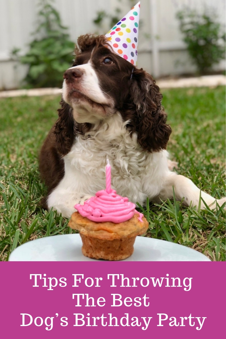 Tips For Throwing The Best Dog’s Birthday