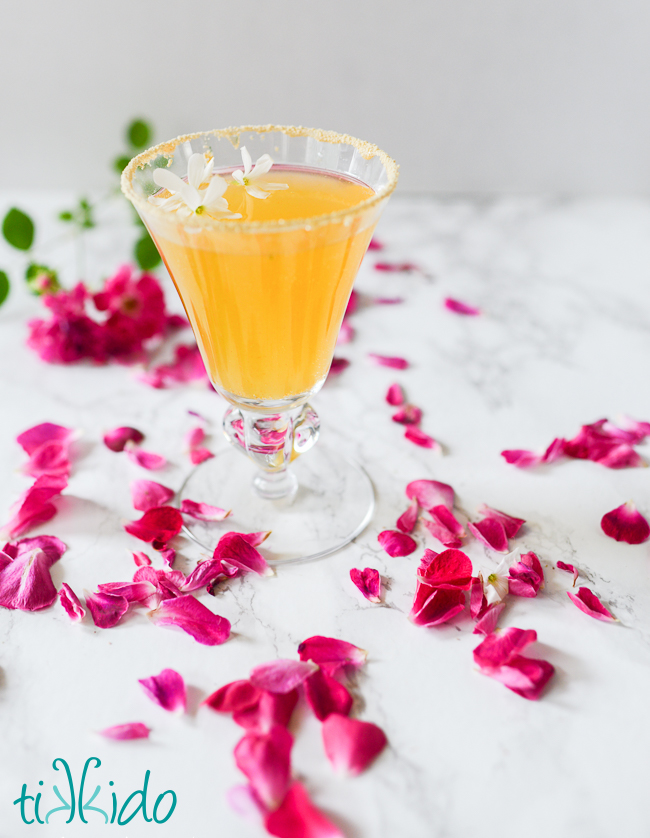 Elderflower Honey Peach Cocktail and other delicious spring cocktail recipes