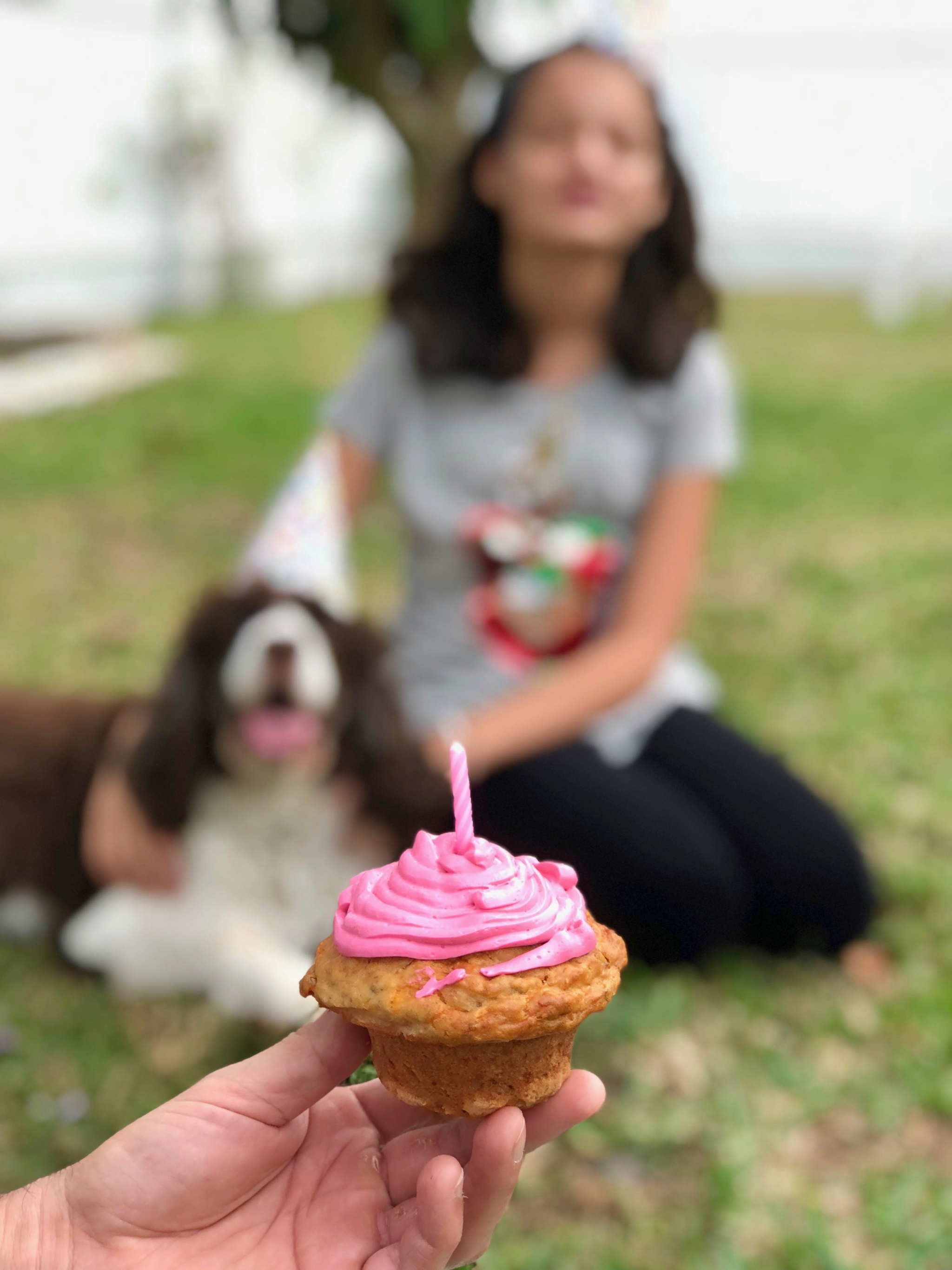 Tips for throwing the best dog birthday party