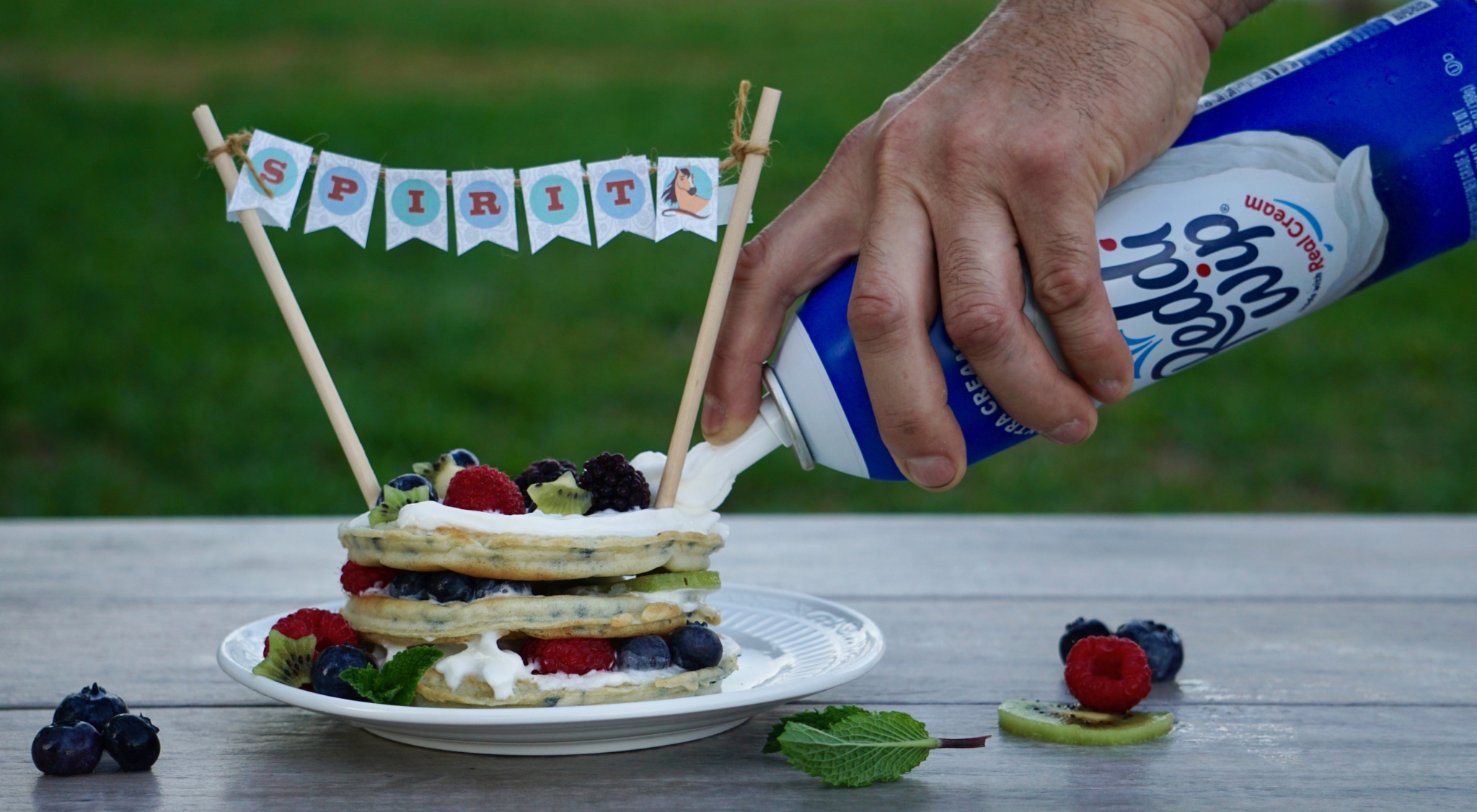 Berries and kiwi waffle cake with Spirit Riding Free printable cake banner