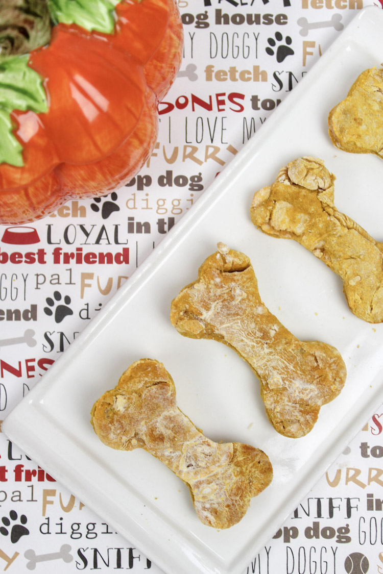 Apple Pumpkin Dog Biscuits and lots of ideas and recipes to celebrate your dog's birthday 