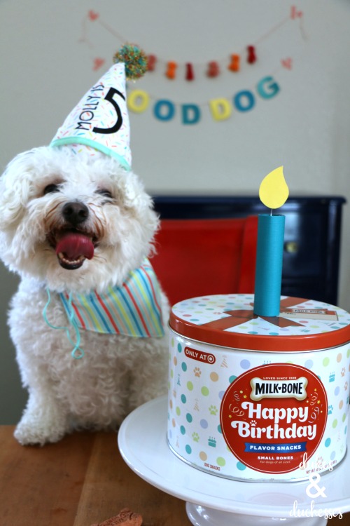 dog birthday party ideas and recipes