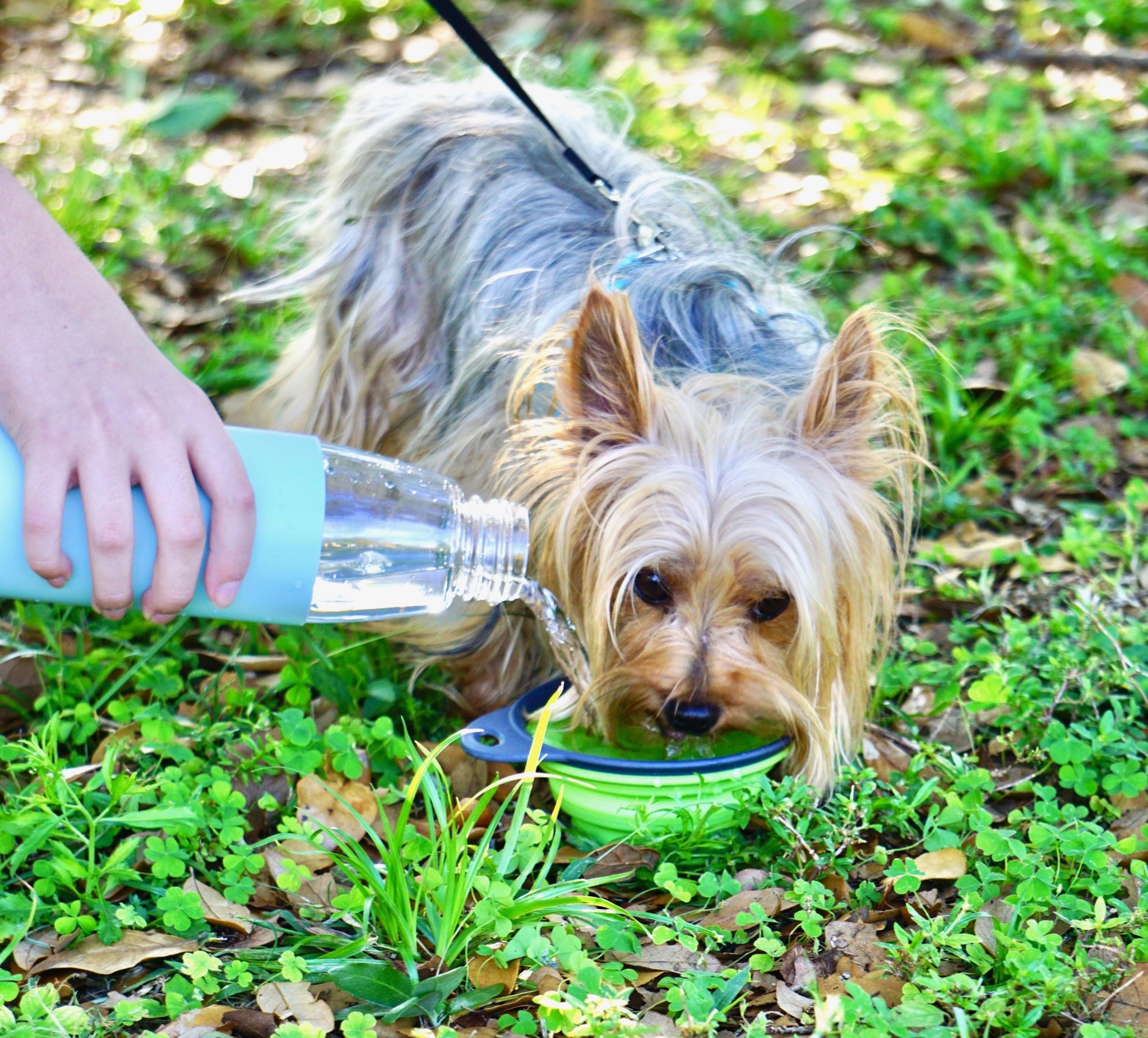 How to Keep Your Family Hydrated When You Spend Time Outdoors