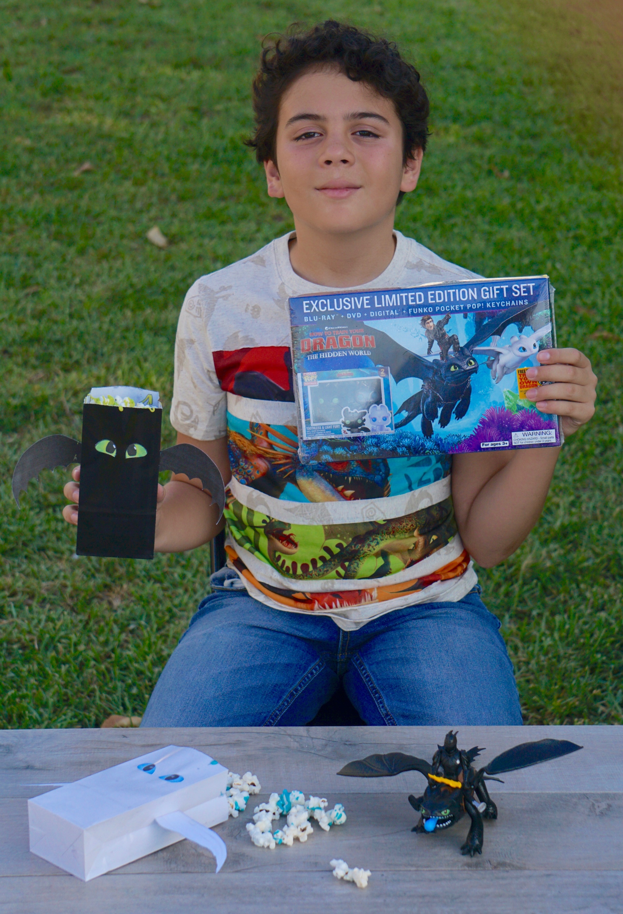 How to Train Your Dragon Movie Night Party Ideas