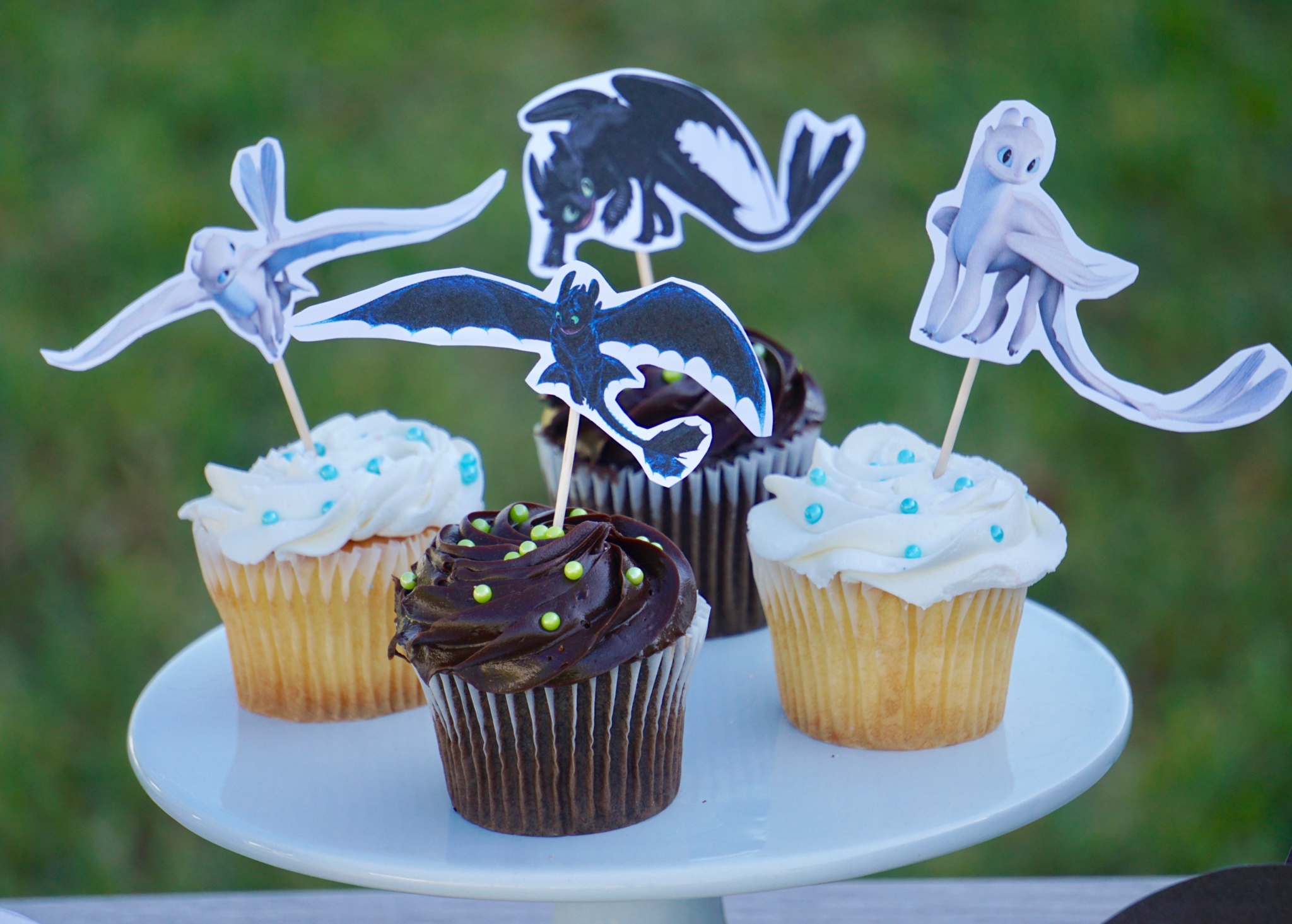 How to Train Your Dragon Movie Night Party Ideas