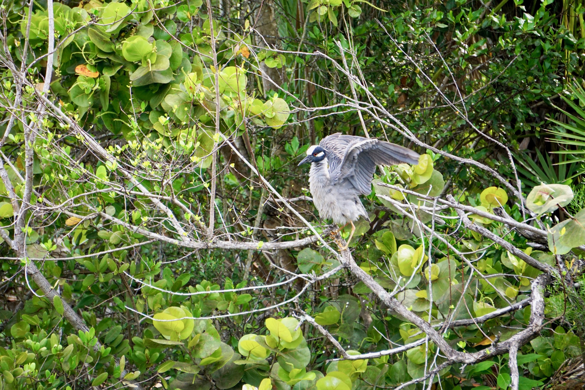 Tips for Spending More Time Outdoors 