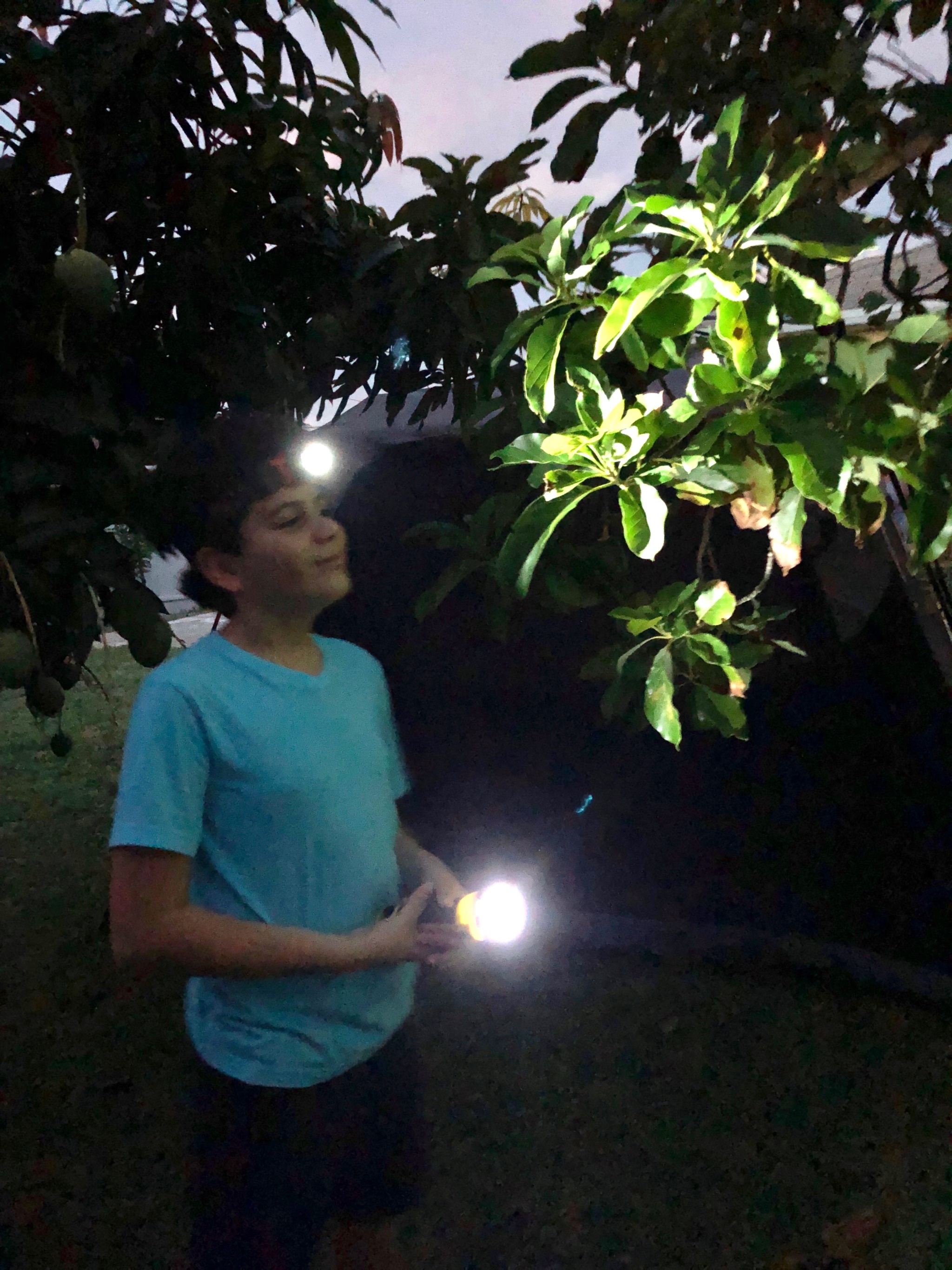 Fun Flashlight Games To Do While Camping or Anytime