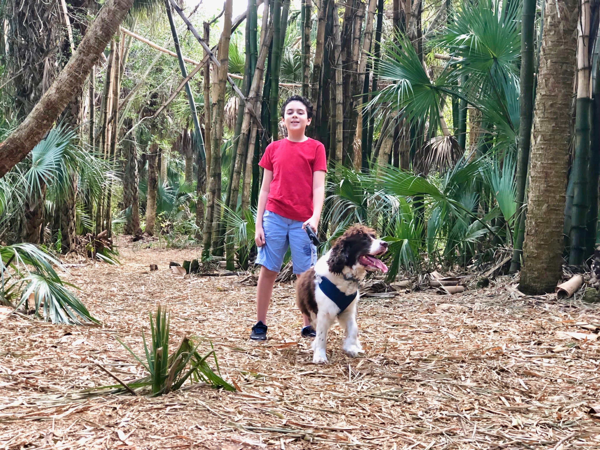 5 Tips for Hiking with Your Dog