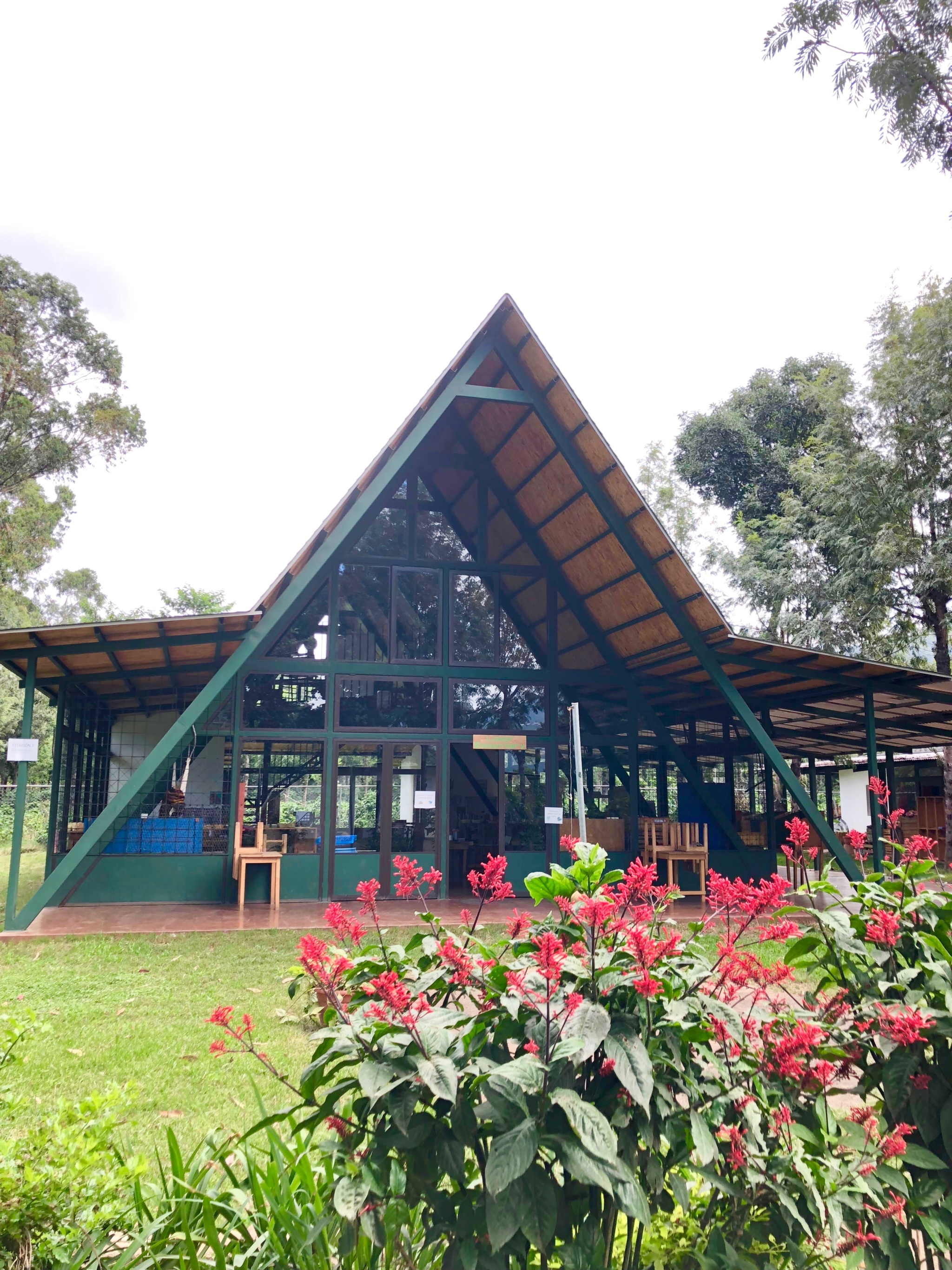 Summer Camp for Kids in Antigua Guatemala: Our Experience at Antigua Green School