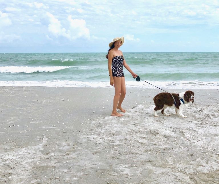 Simple Tips for Taking Your Dog to the Beach