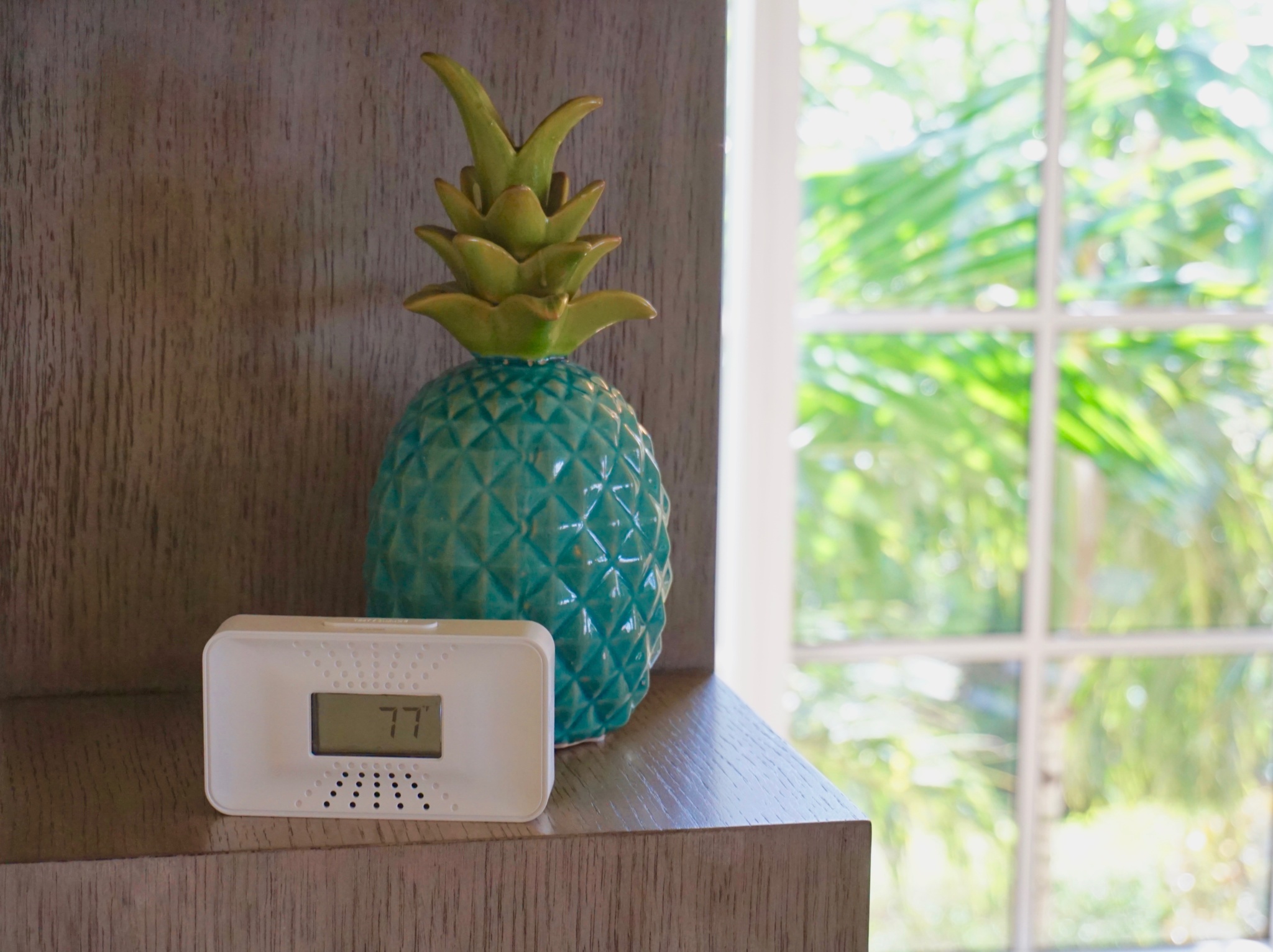 Portable CO Alarm Gives You Peace of Mind While Traveling