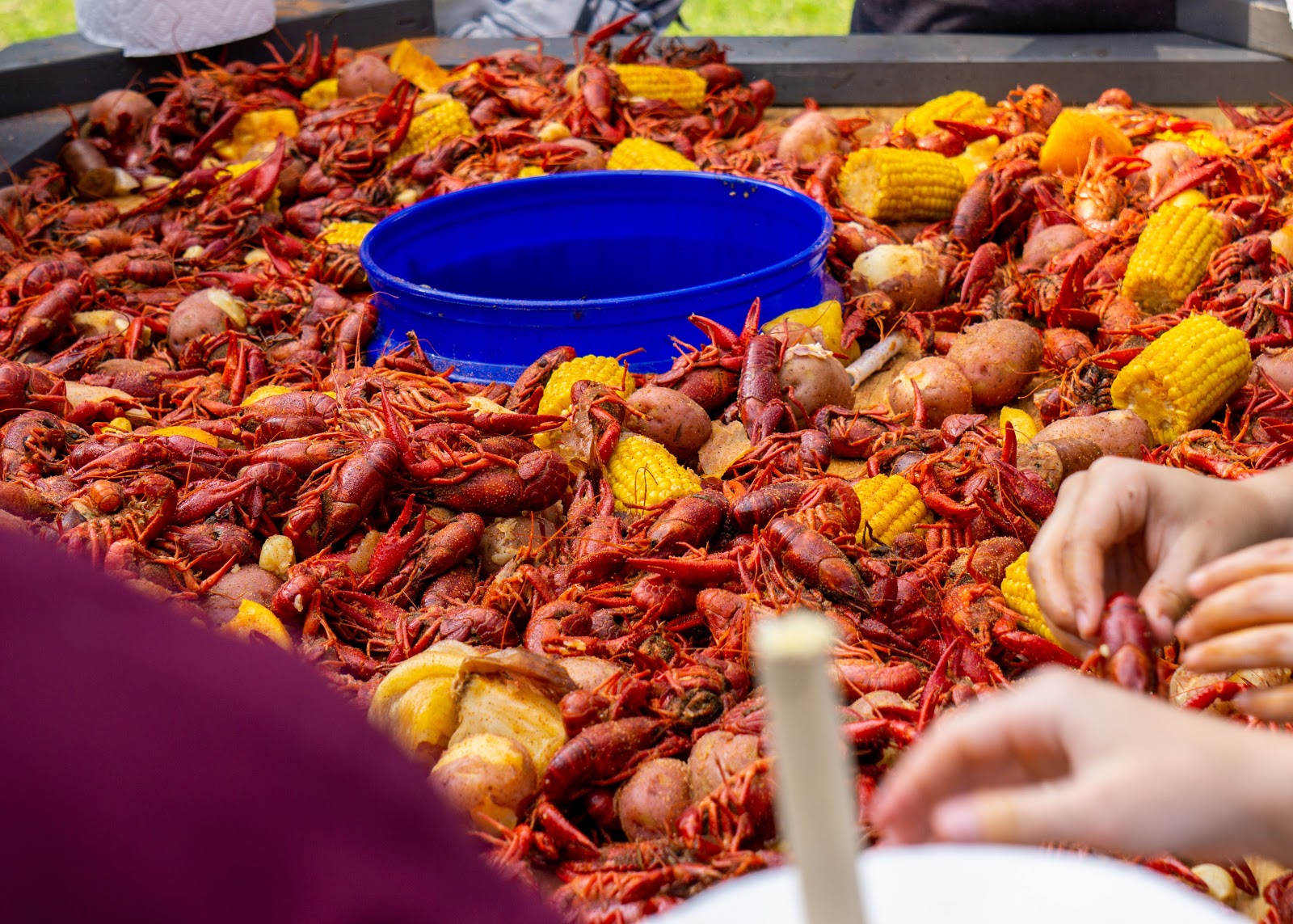 crawfish festival New Orleans