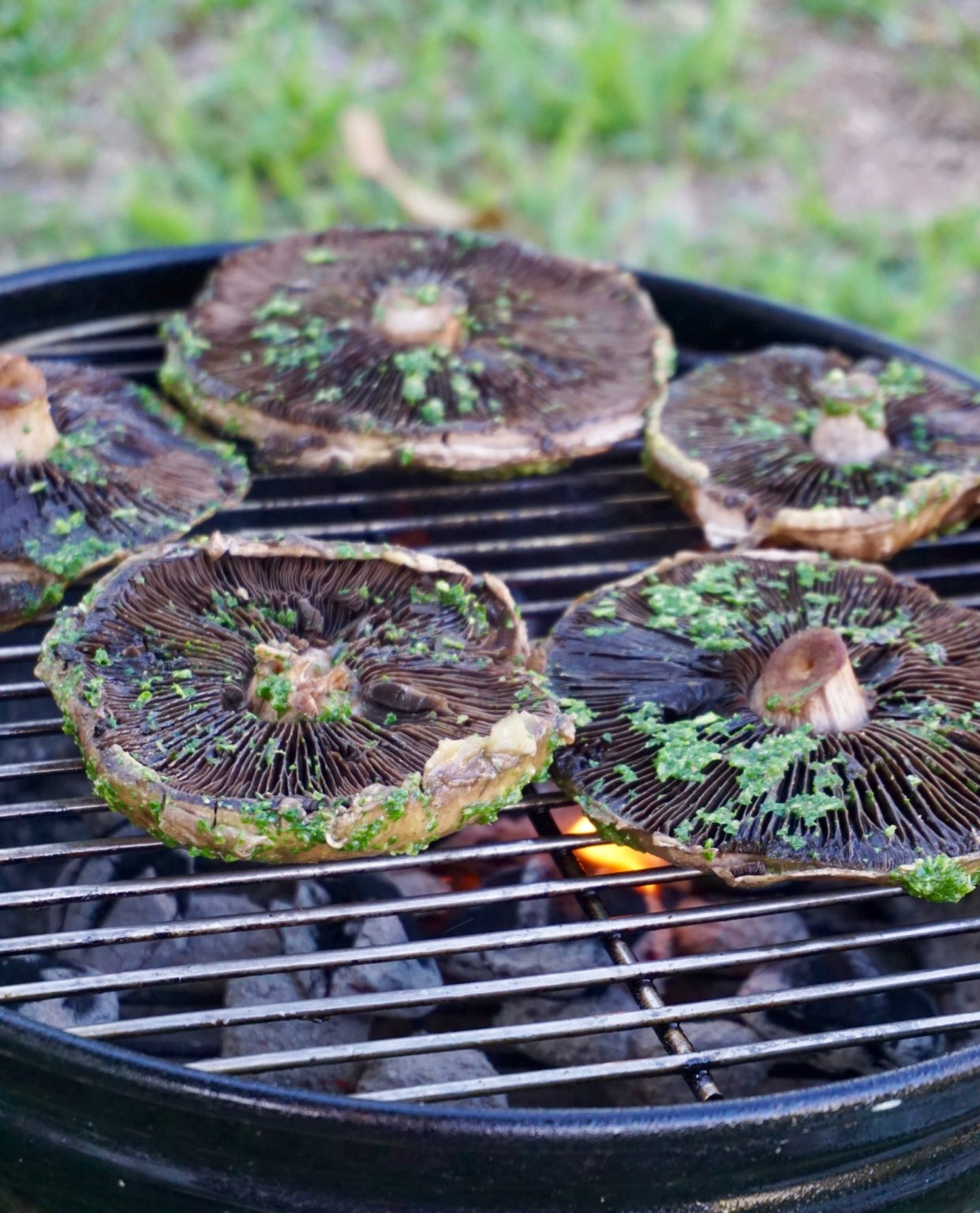 Grilled Portobello Tacos with Chimichurri Sauce