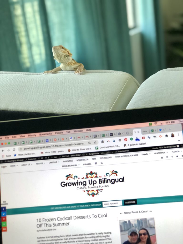 Increasing Traffic To Your Blog is Easier Than You Think