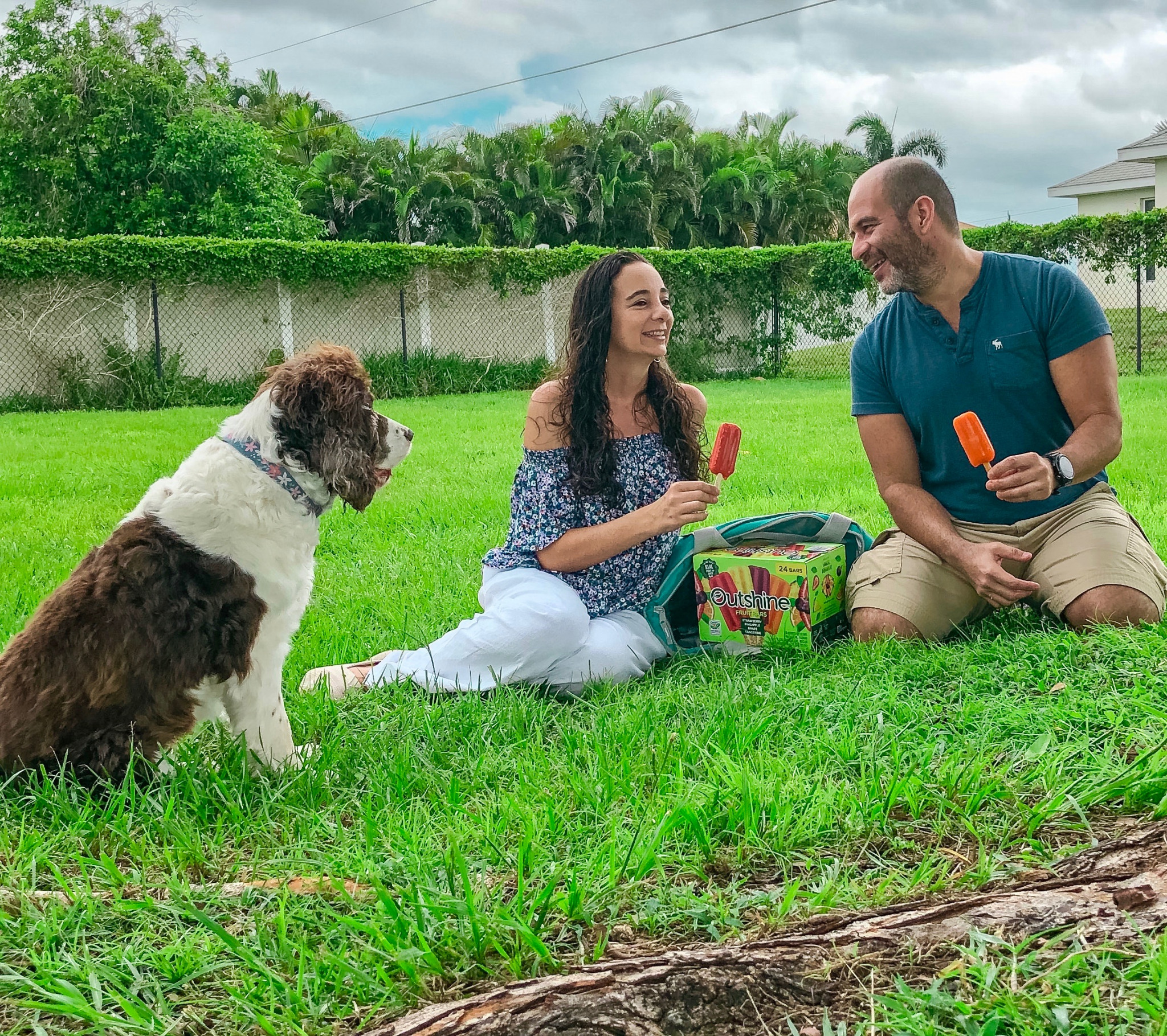 Stress-Free Backyard Picnic Ideas and Activities 