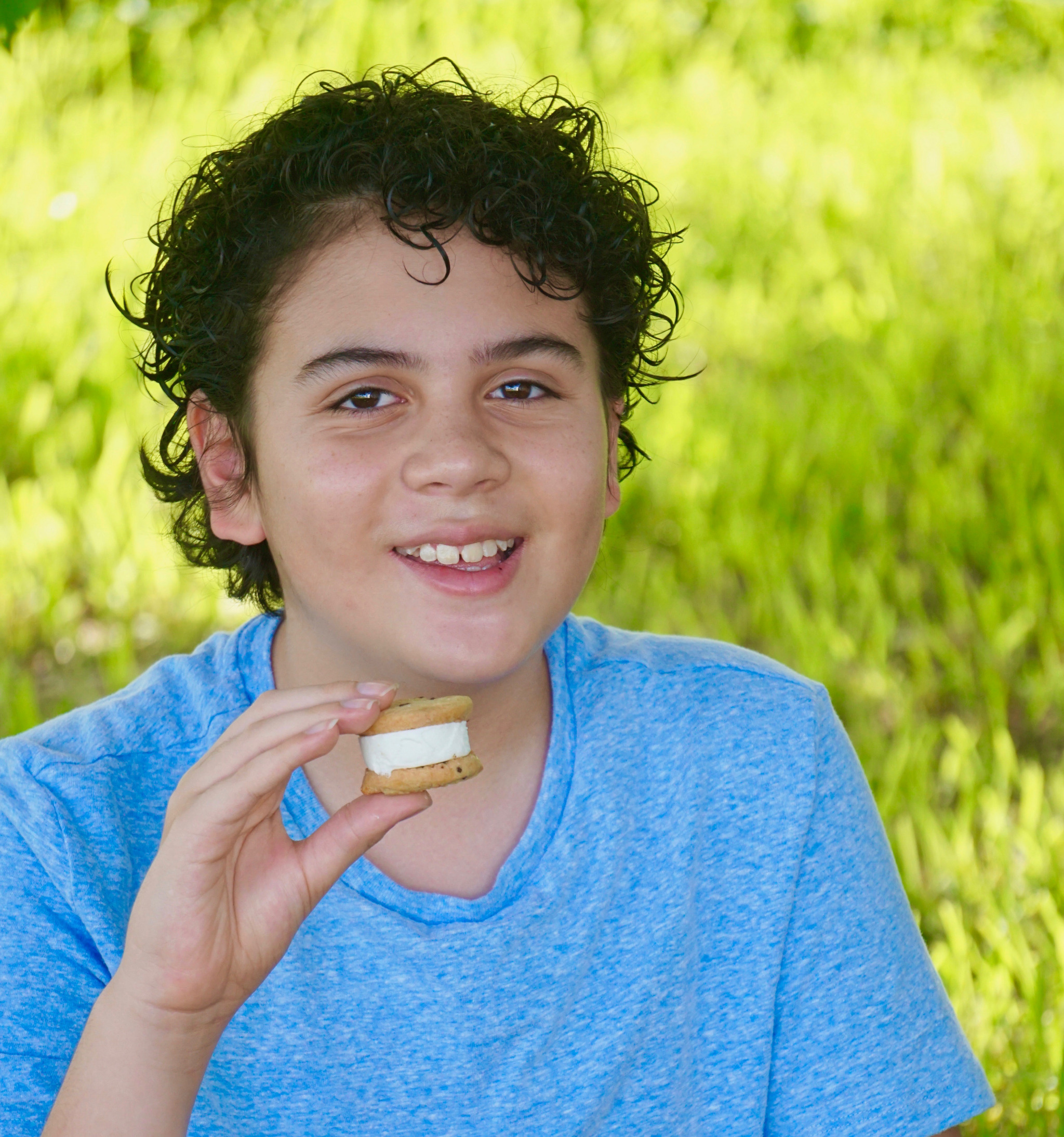 mini ice cream sandwiches