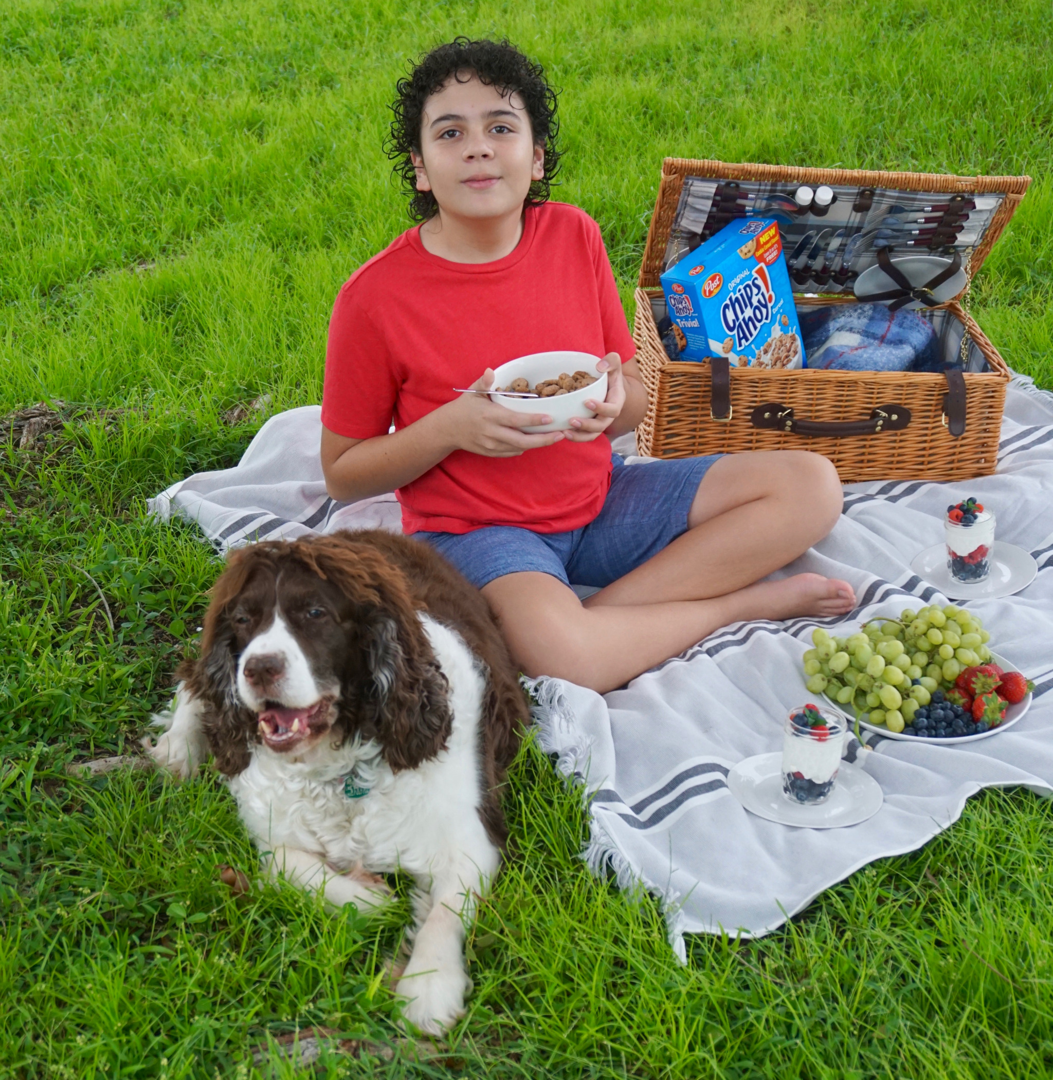 breakfast picnic 