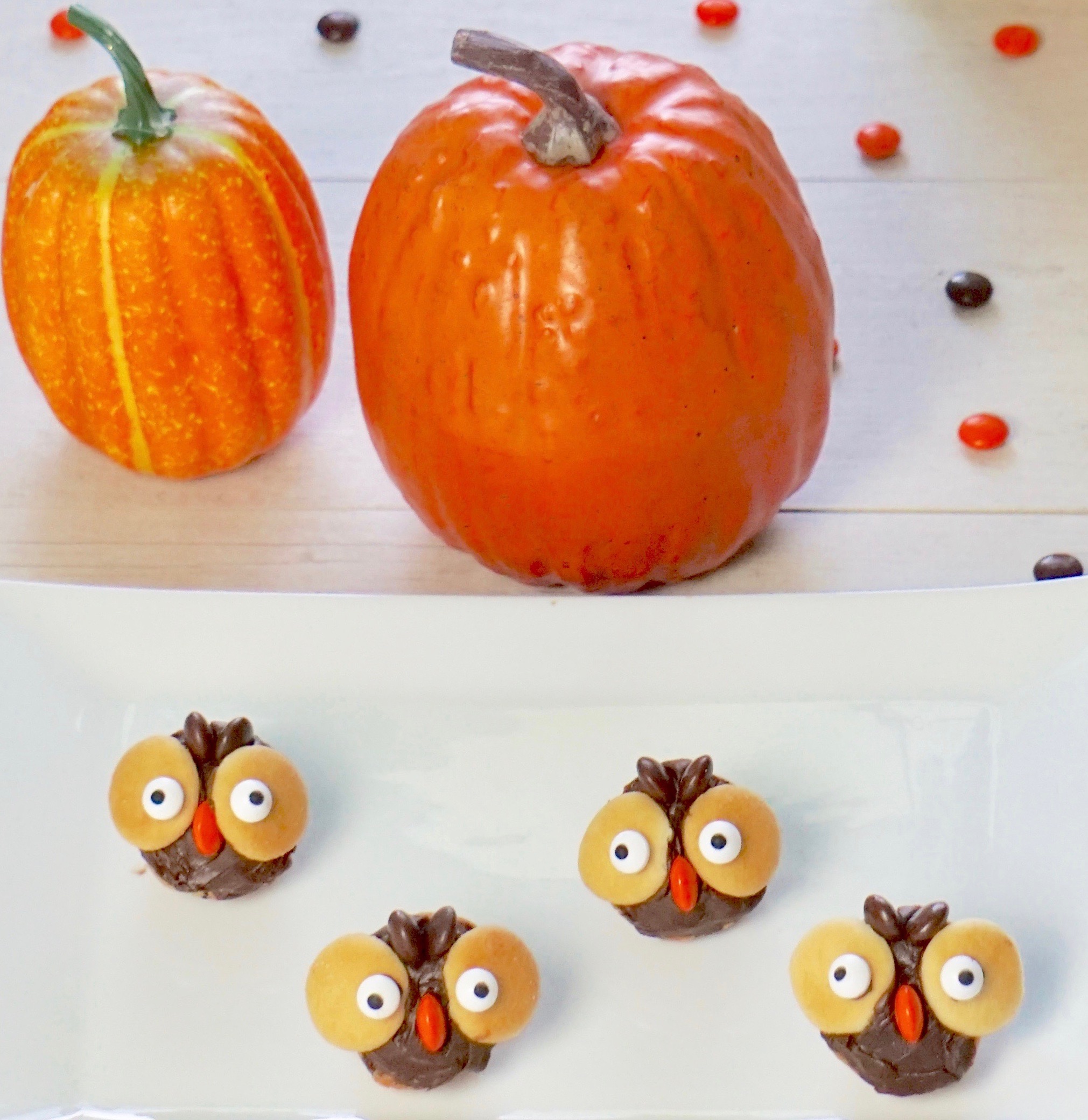 Cute owl treats