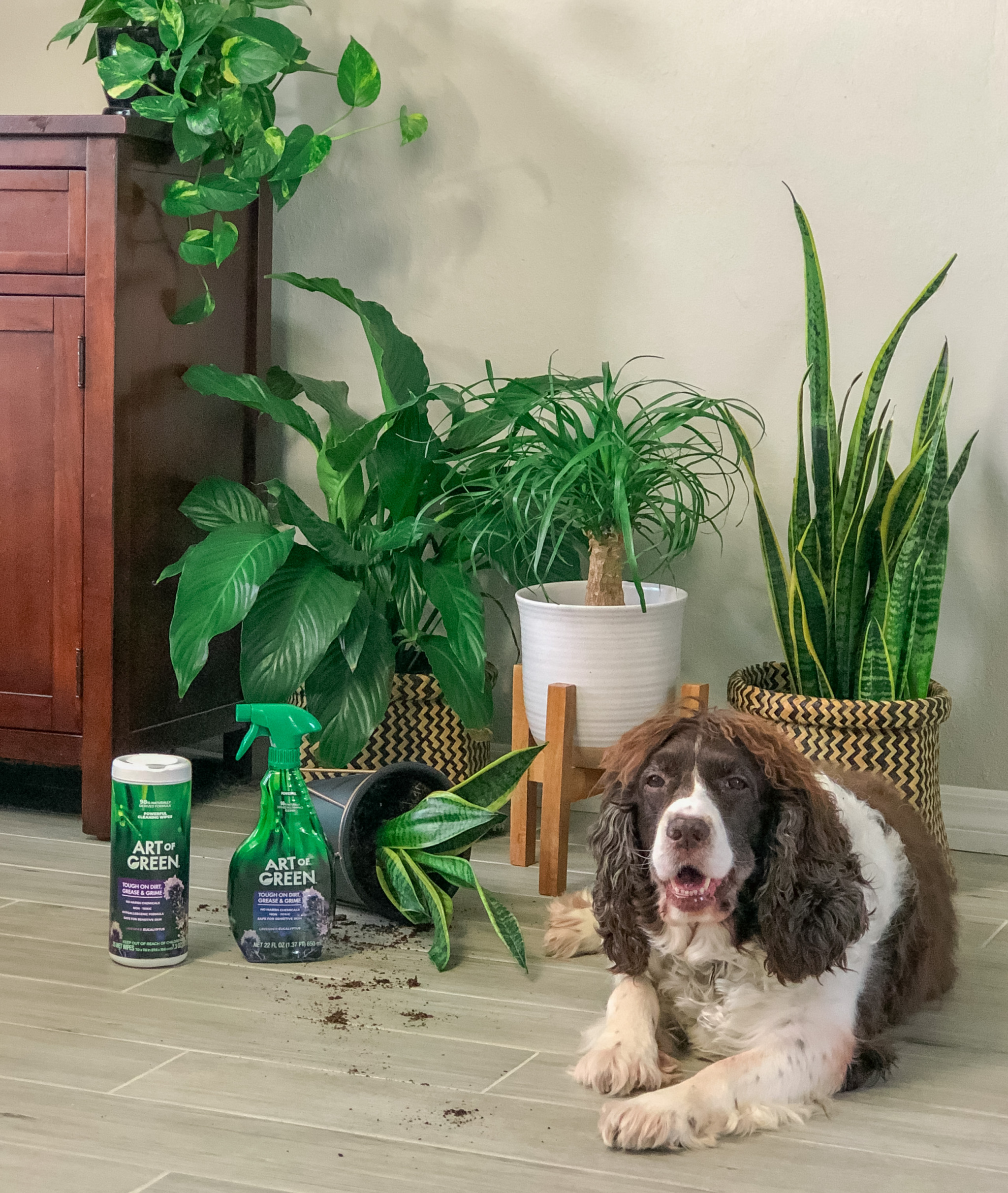 non-toxic cleaners safe for pets