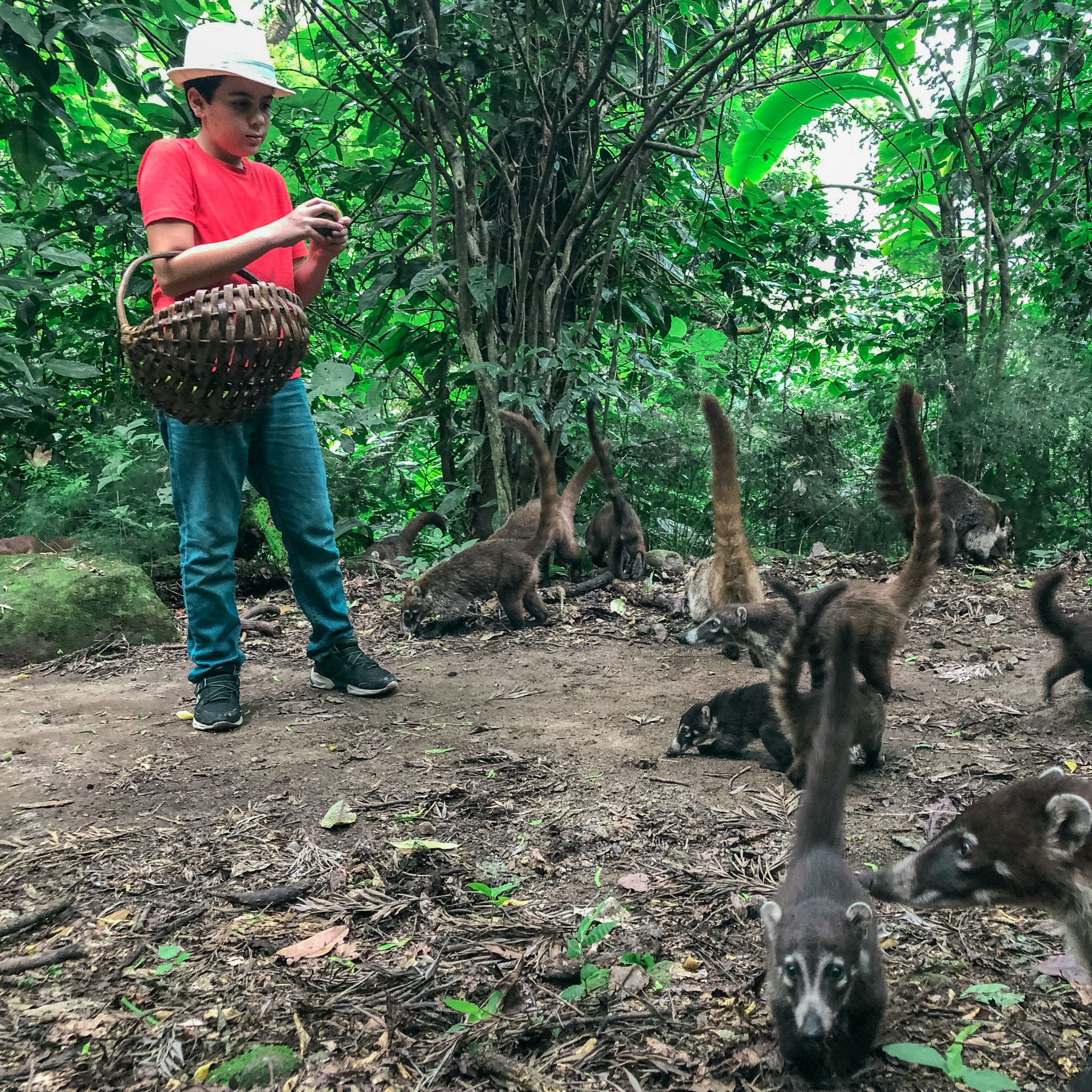 Best things to do in lake Atitlan with kids