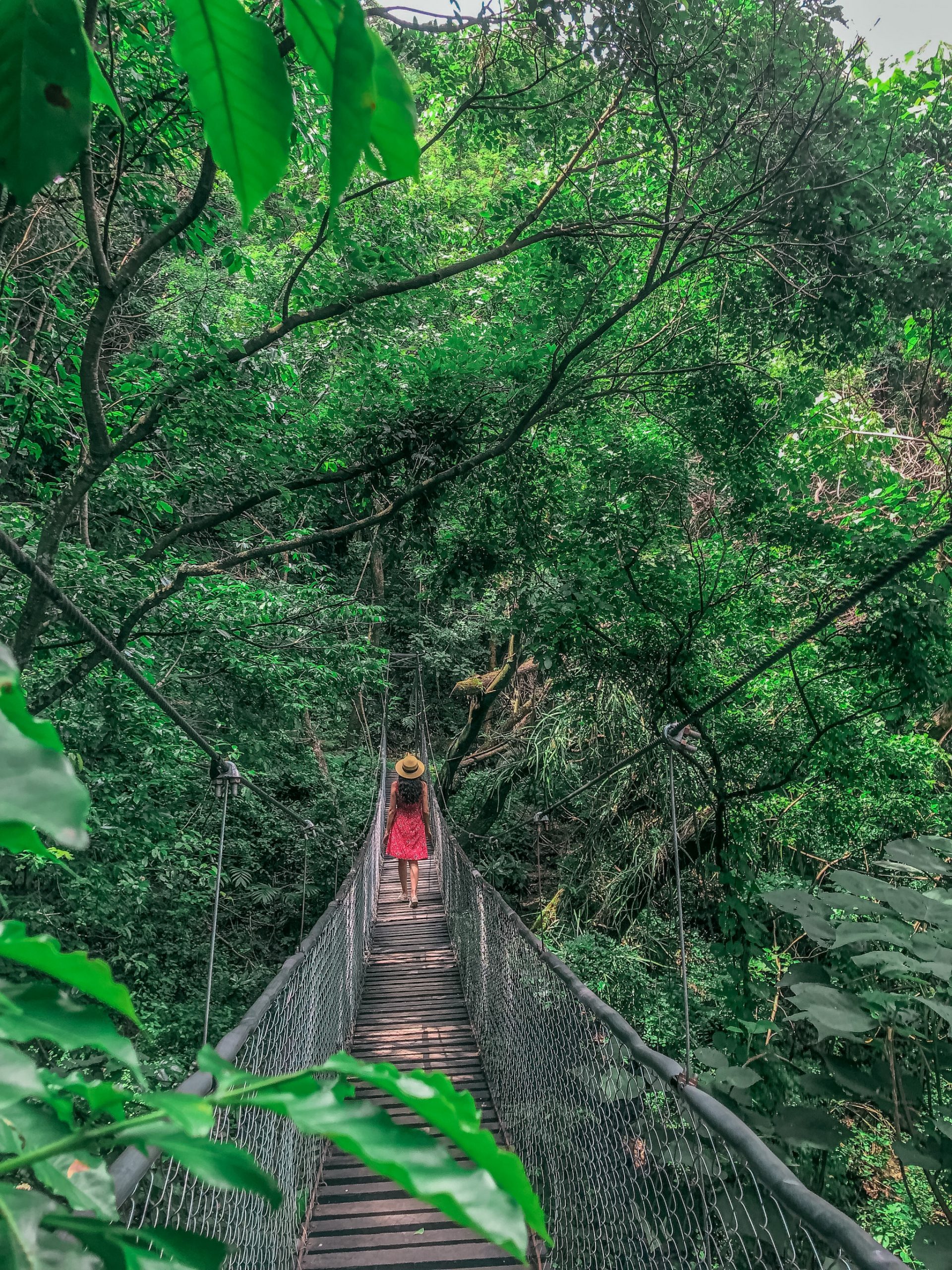 Hanging bridges in Panajachel