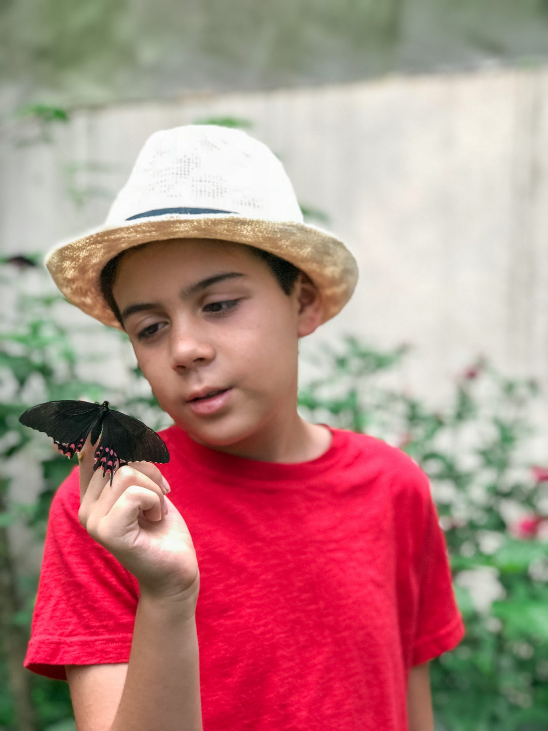 Butterfly garden at Reserva Natural de Atitlan