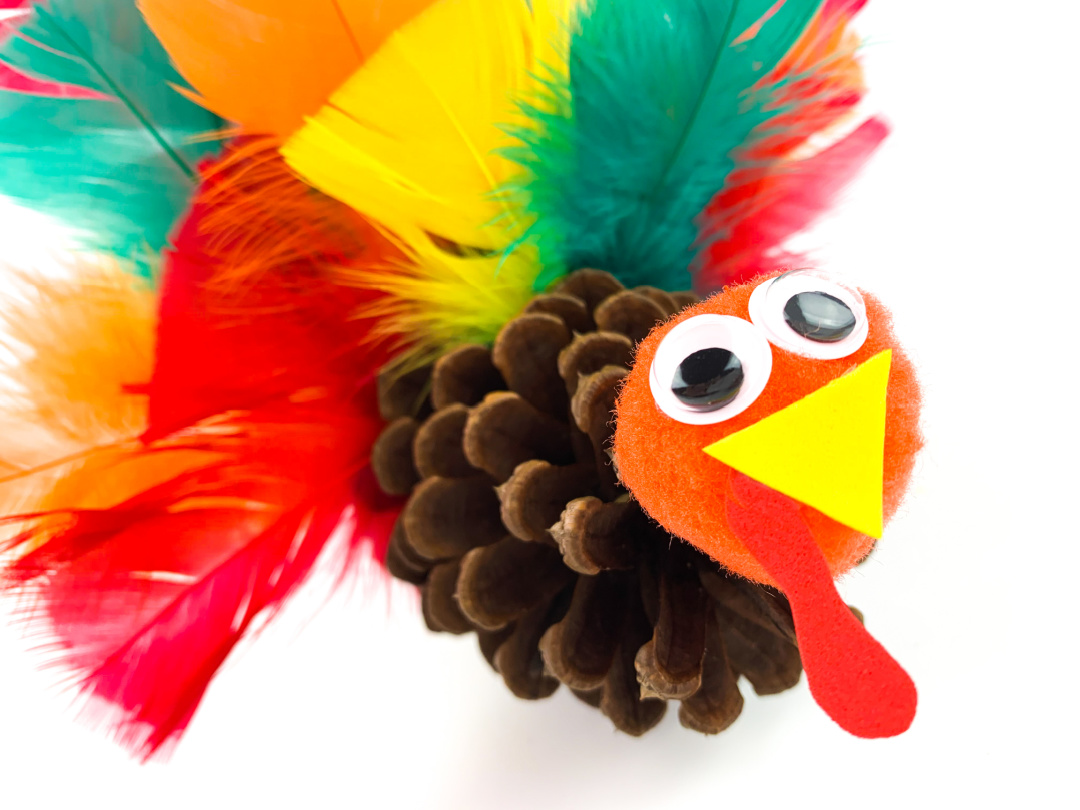 Pine cone turkey, Thanksgiving family craft