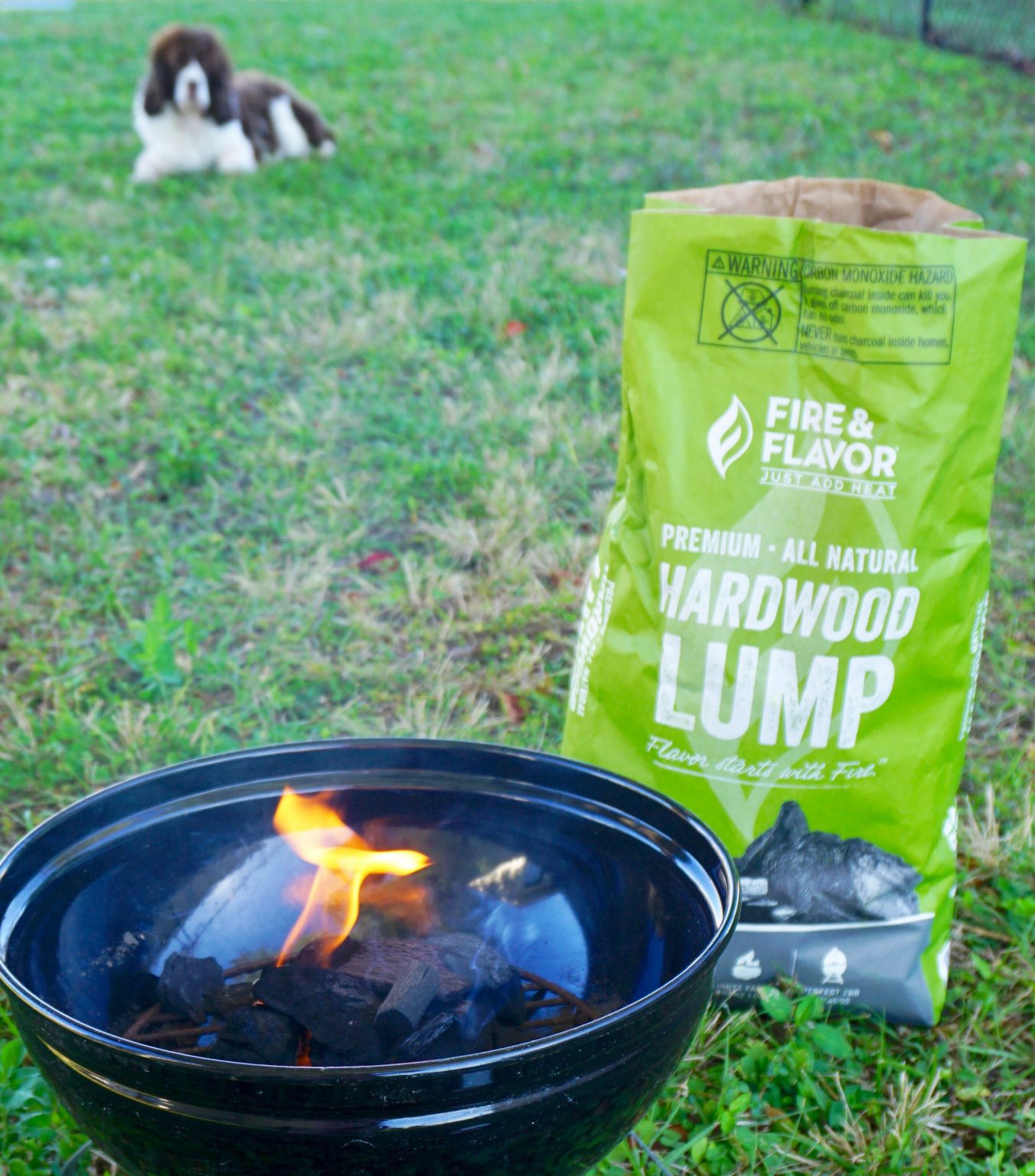 Tips for Grilling with Lump Charcoal and Grilled Steak Tacos with Pineapple Chimichurri