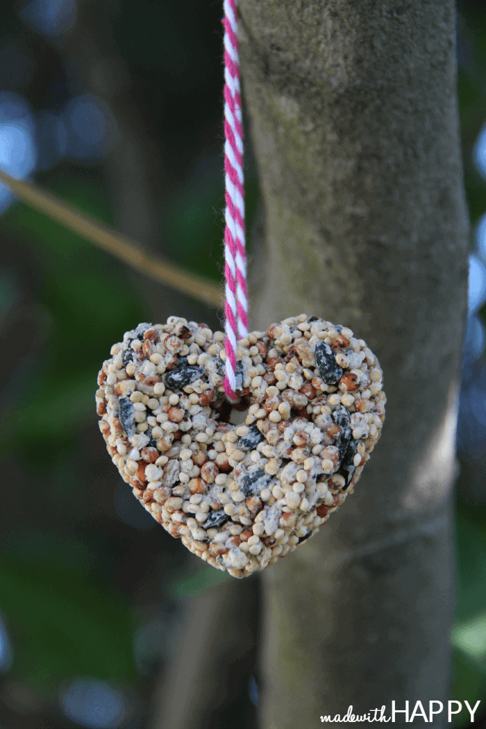birdseed heart DIY bird feeder, easy Valentine's crafts for kids