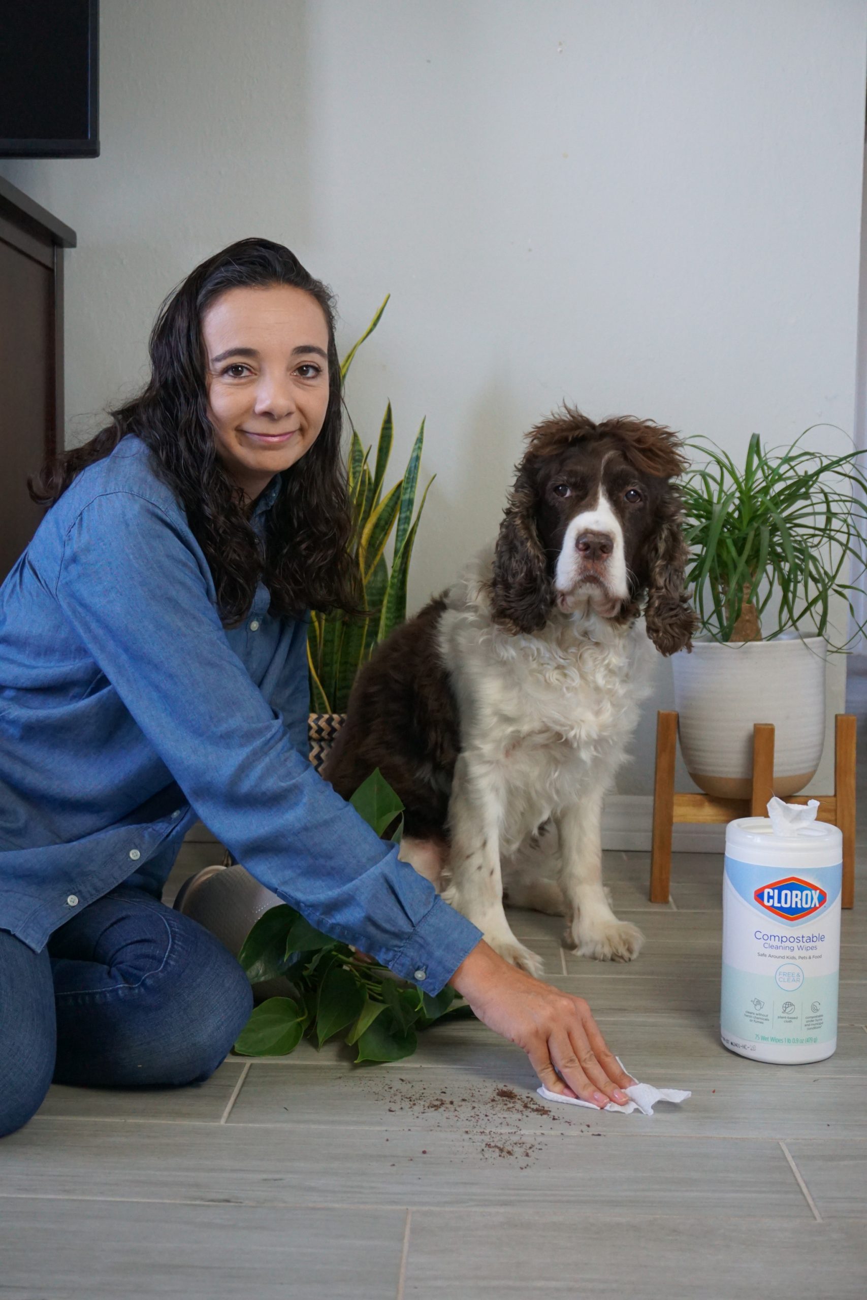 Spring Cleaning Tips that are Safe for Pets