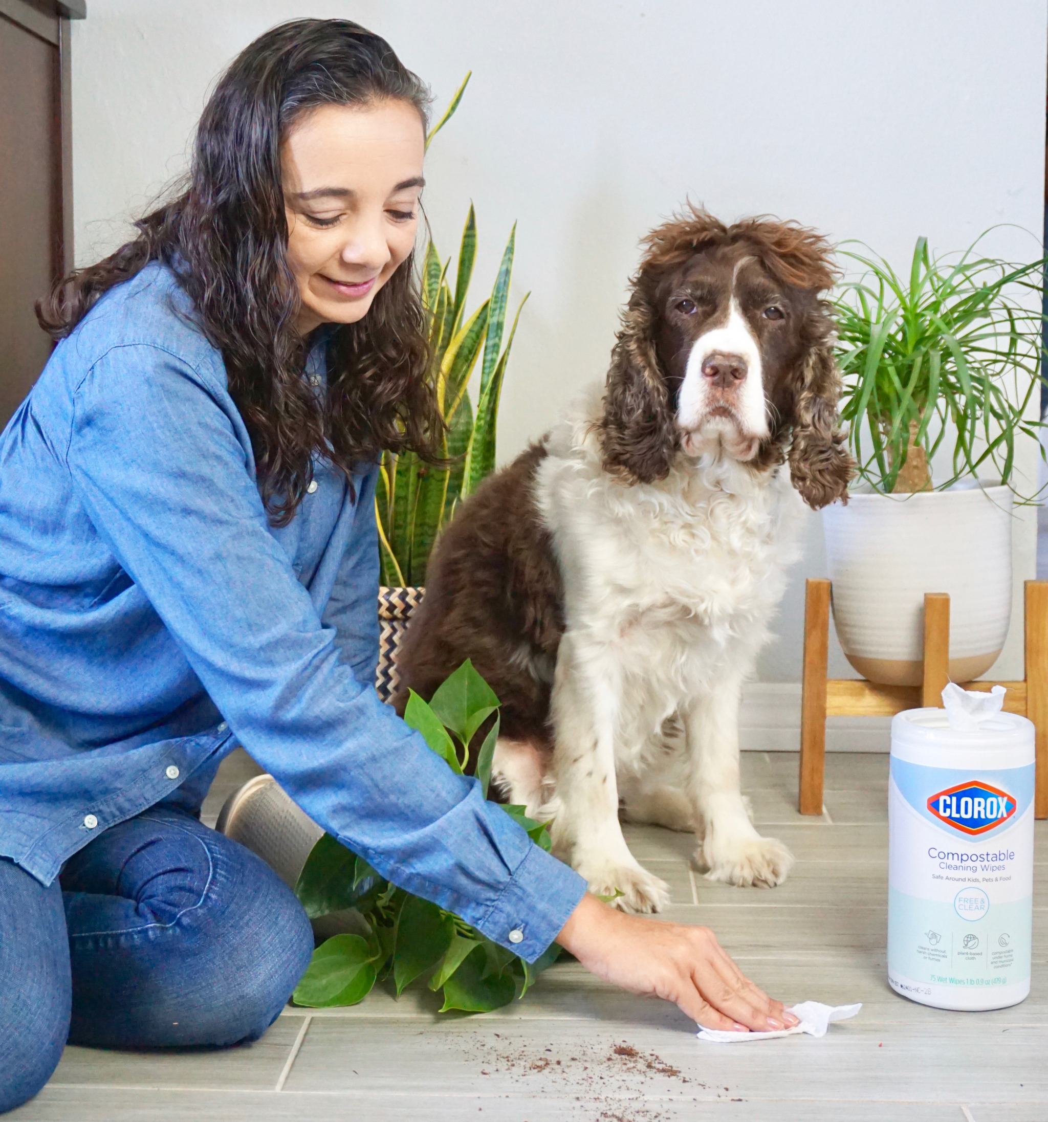 pet friendly cleaning products