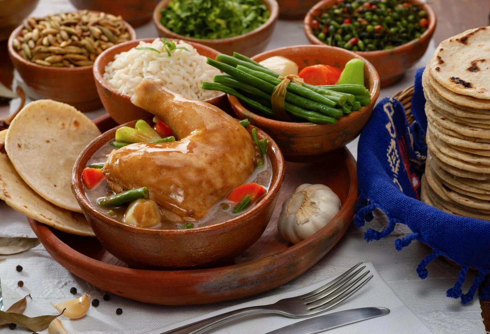 Pepián de pollo guatemalteco, pollo en salsa roja de semillas y chiles con arroz blanco