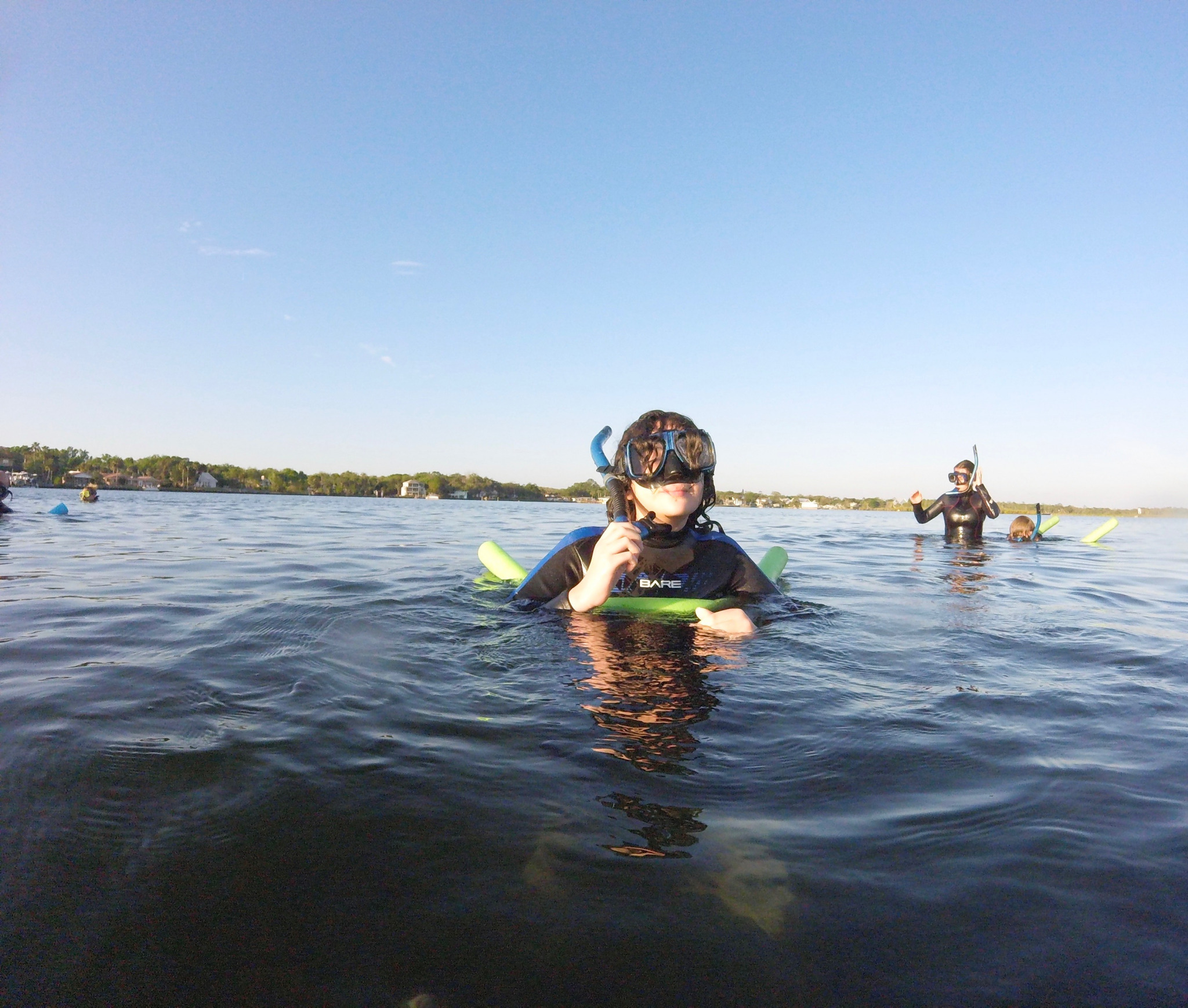 Manatee tour in Crystal River