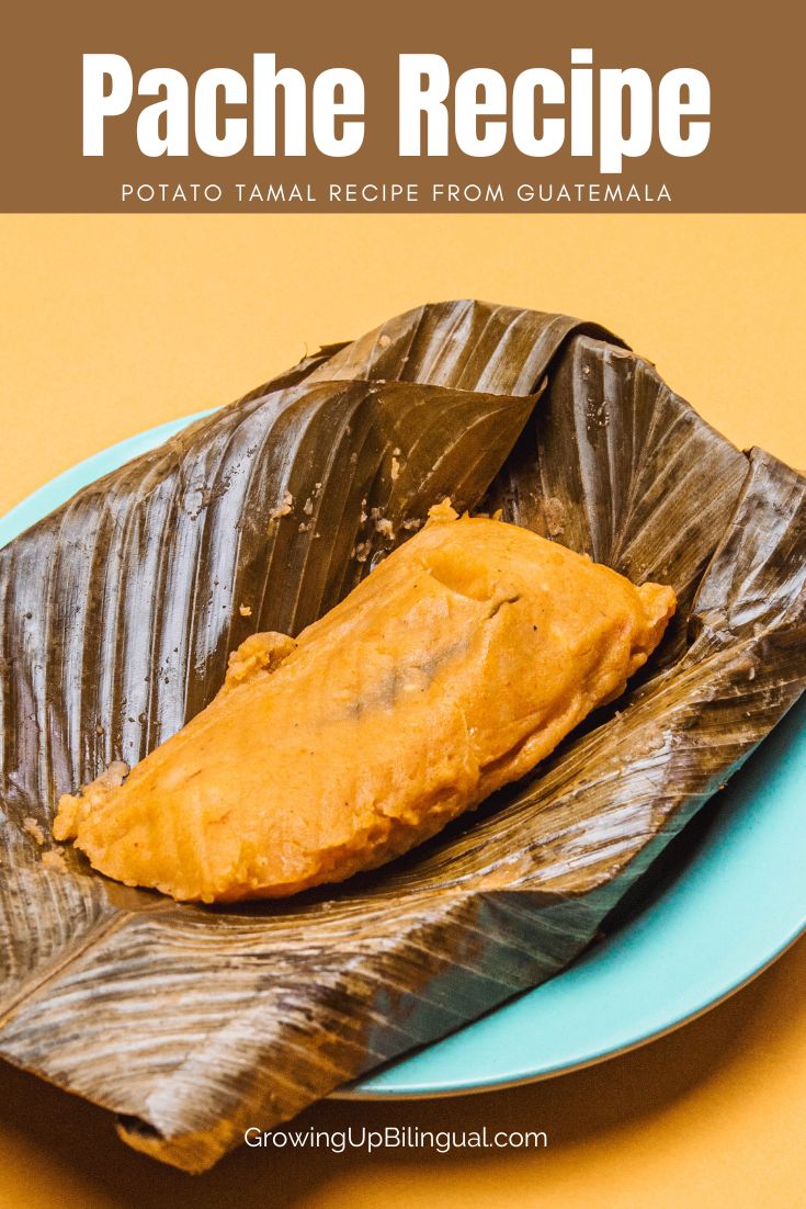 Paches Traditional Guatemalan Potato Tamales