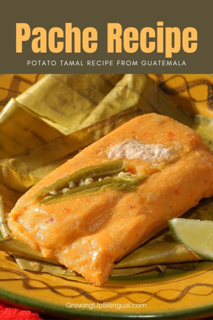 Guatemalan paches tamales recipe