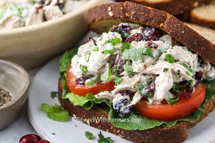 Easy Recipe For Turkey Salad -