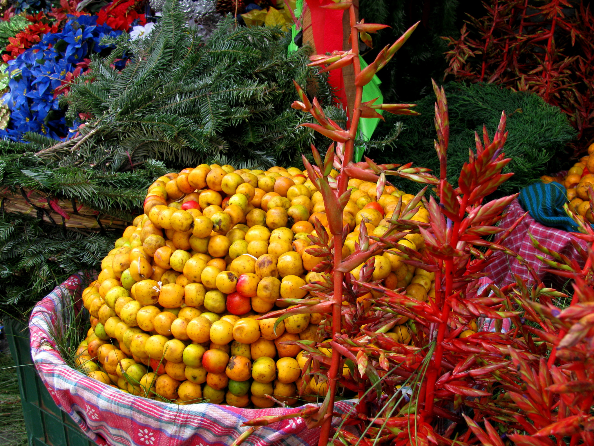 Manzanilla and Guatemala Christmas market, mercad de Navidad en Guatemala