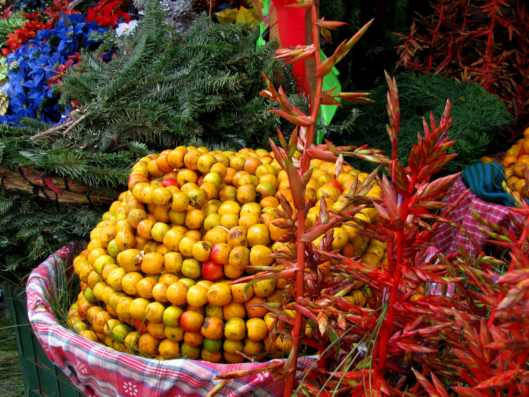 Christmas in Guatemala - Craving Sustenance