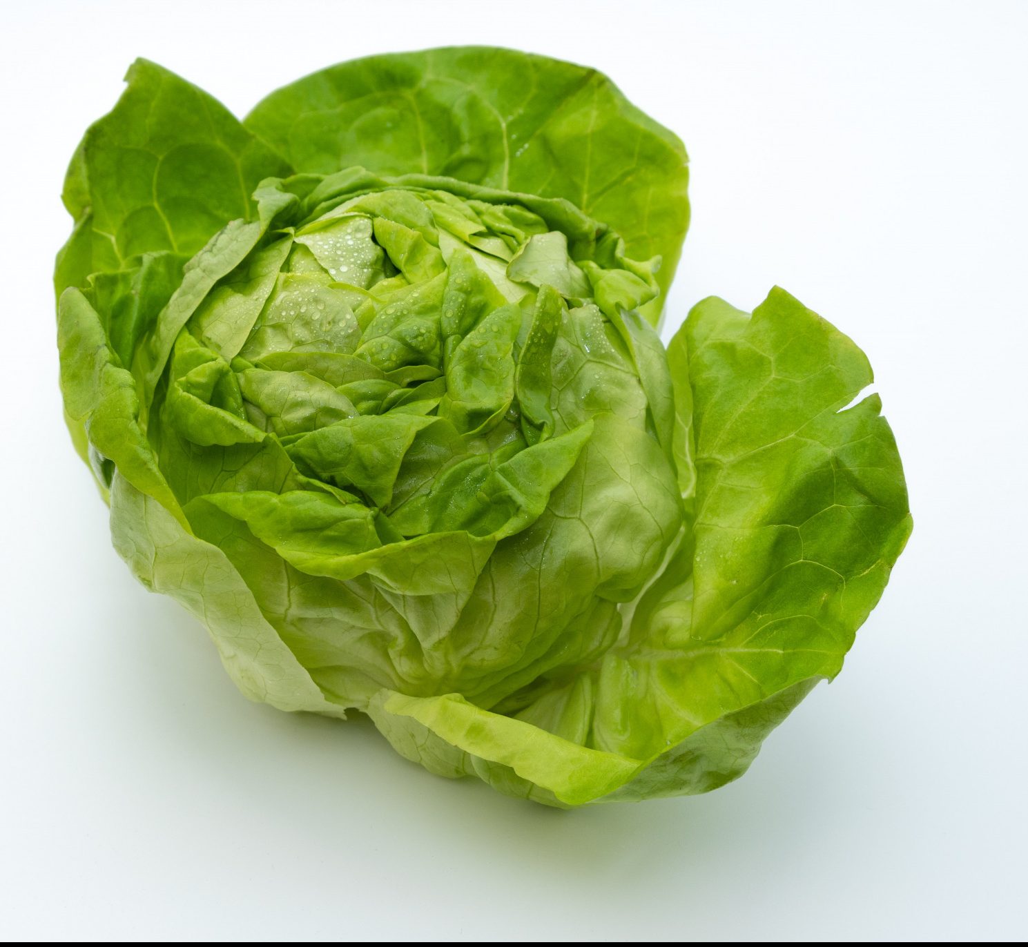 What is the best lettuce for lettuce wraps
