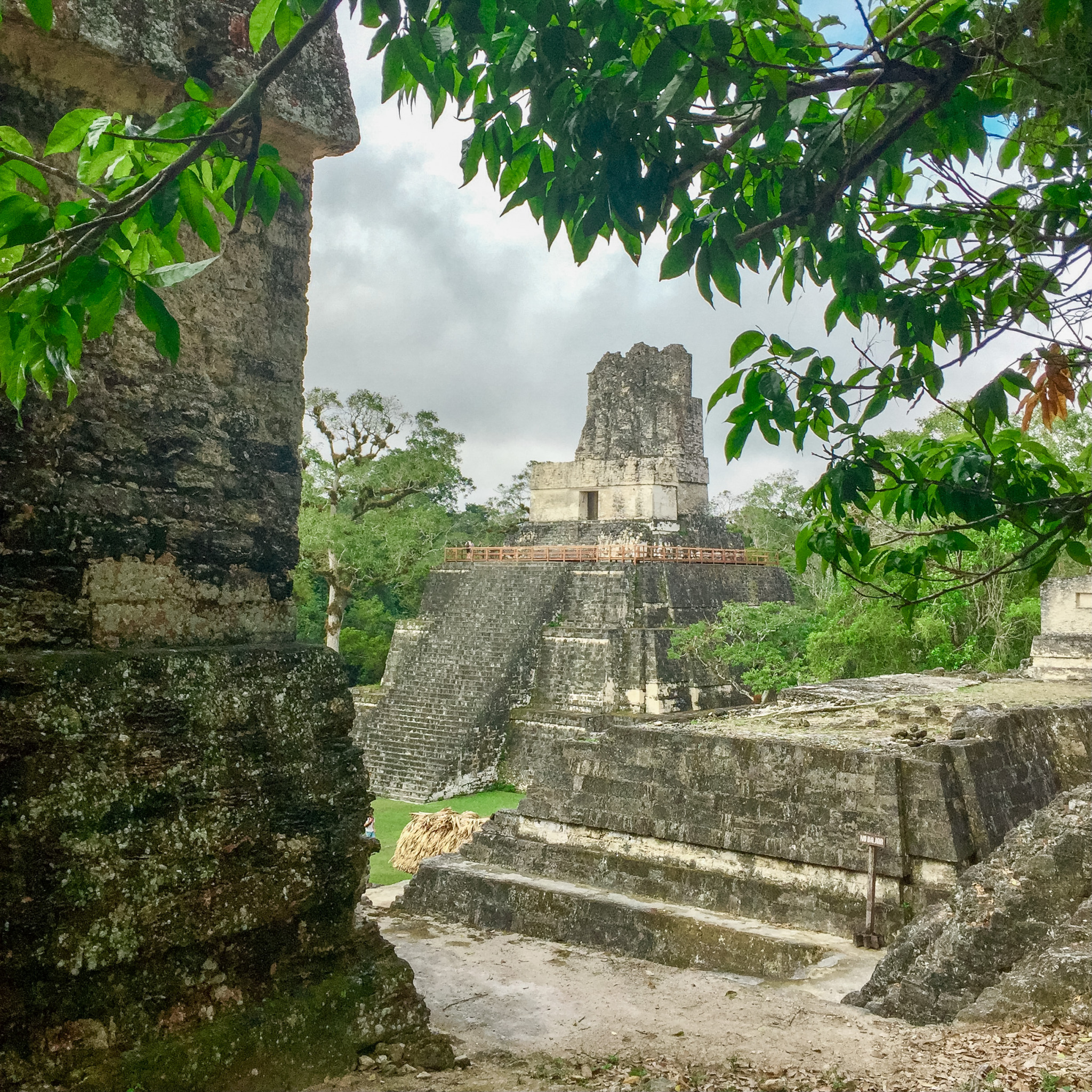 best guide to visiting Tikal