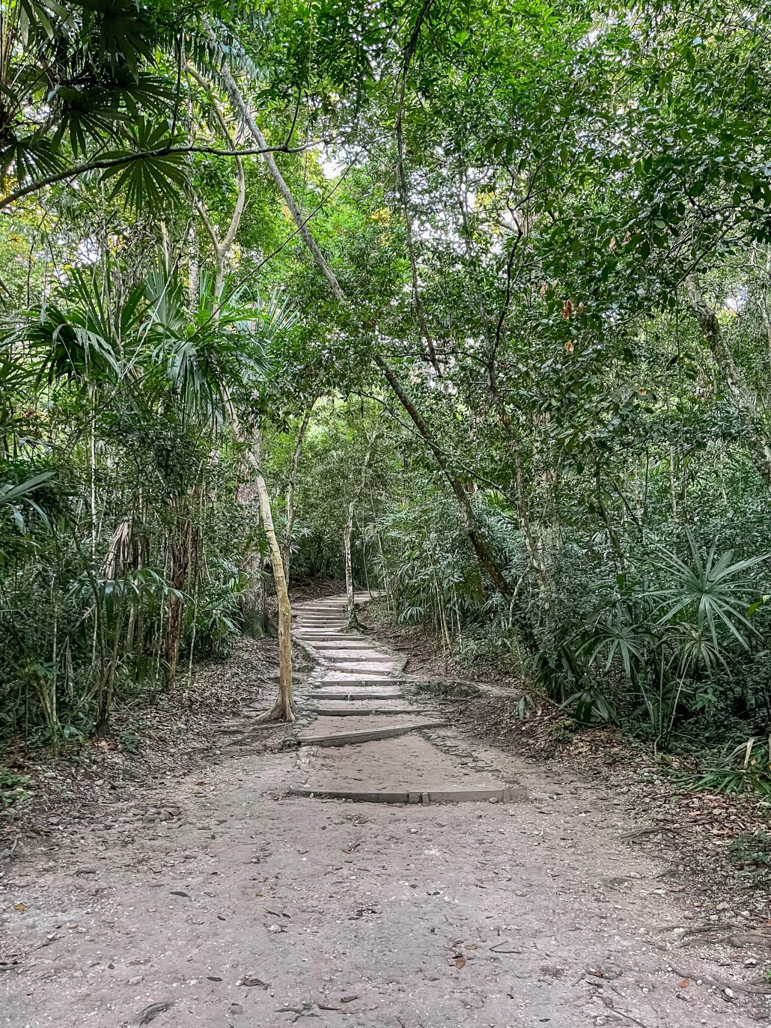 Best Guide To Visiting Tikal: The Most Spectacular Mayan Ruins In Guatemala