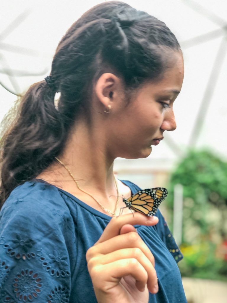 Butterfly garden in Lake Atitlán Guatemala