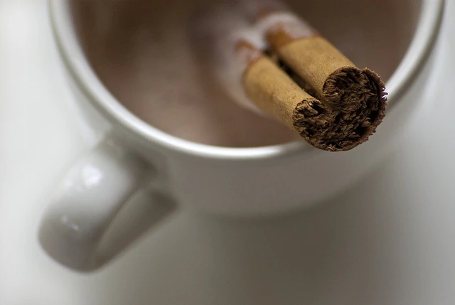 Taza blanca de chocolate caliente con una raja de canela apoyada en el borde