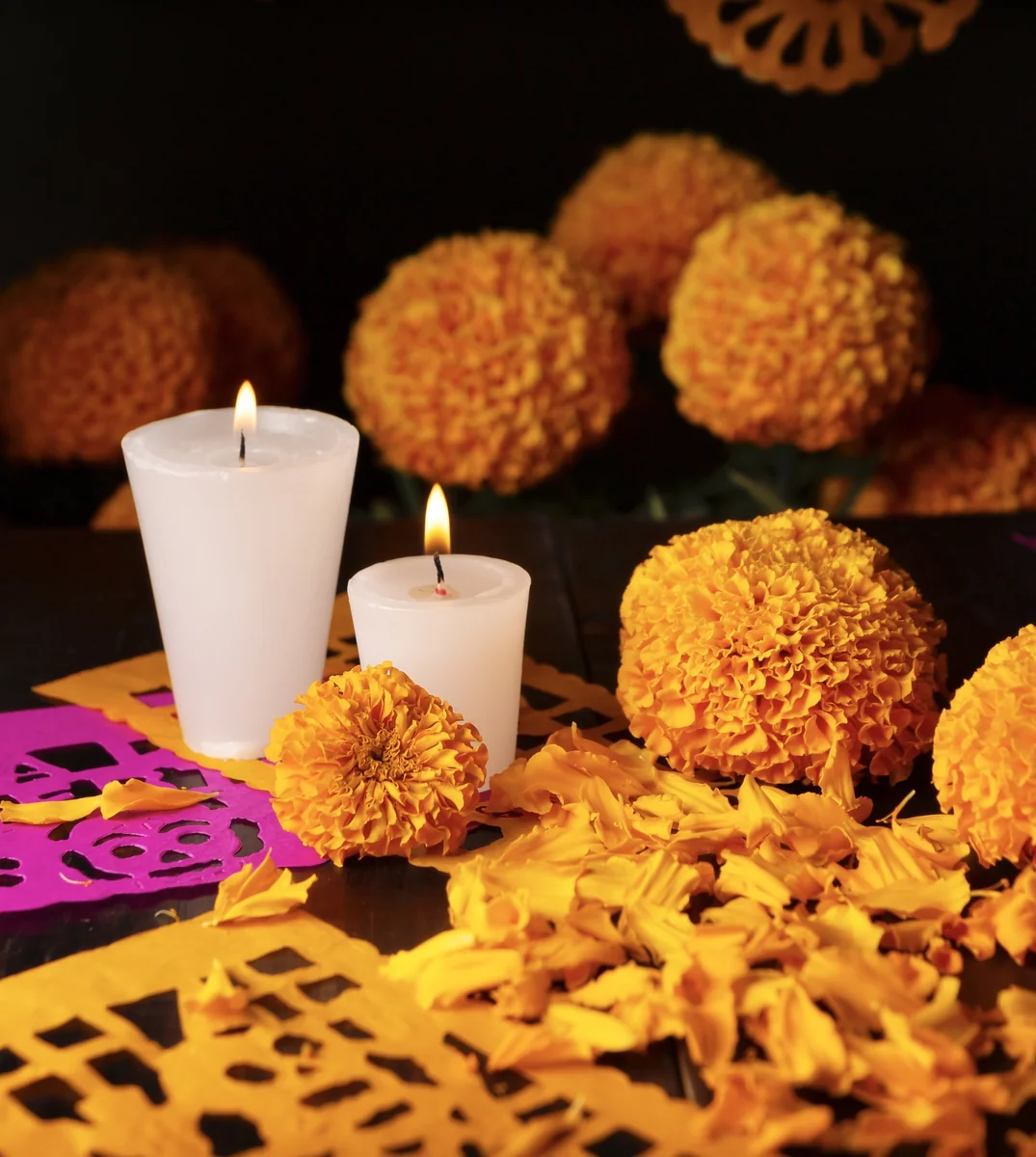 Marigold flowers, used to decorate graves for Day of the Dead