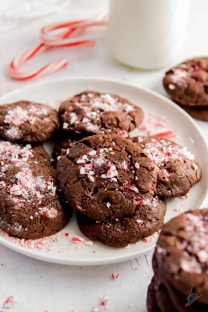 Double chocolate peppermint Christmas cookies