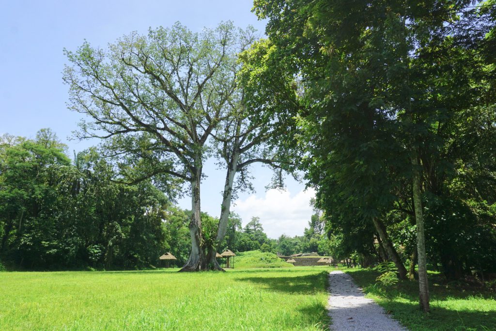 Quirigua site in Guatemala