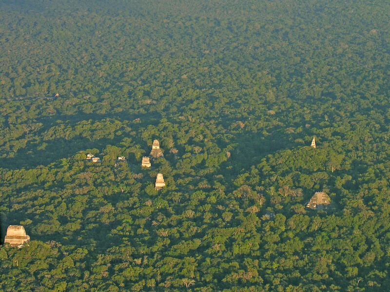 Aerial view of Tikal National Park.