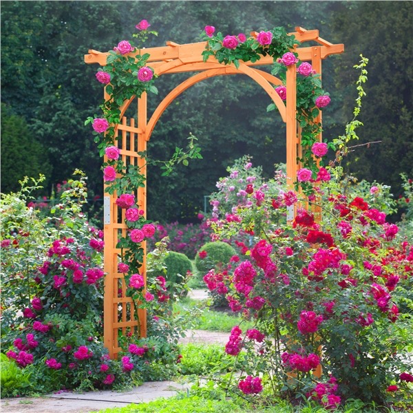 best trellis arch arbor for your back yard