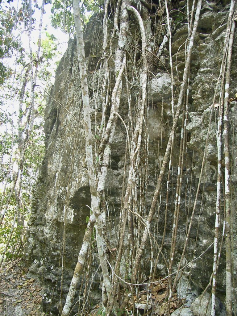 El Zotz Mayan site in Guatemala