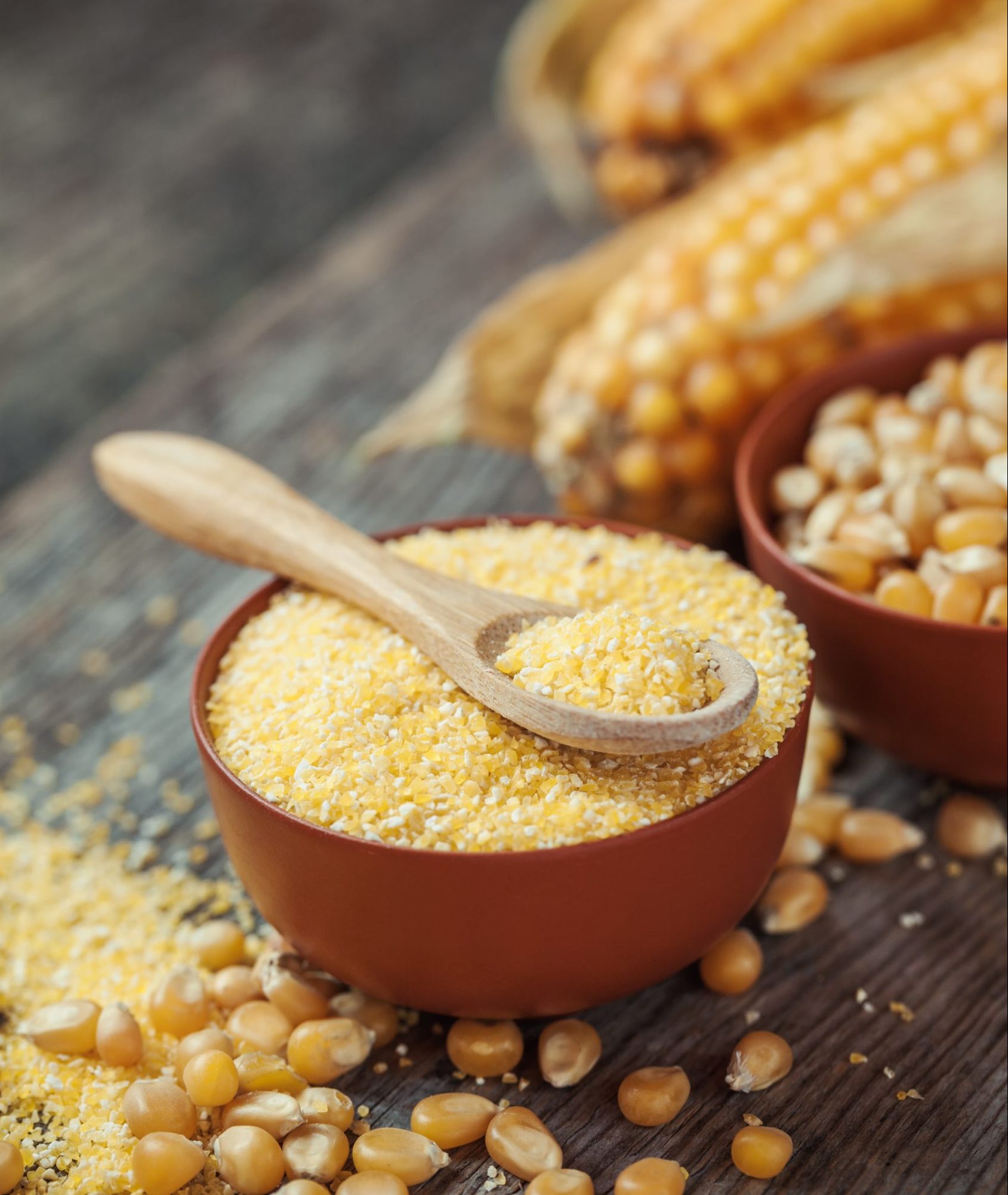 Pinol or toasted ground corn flour